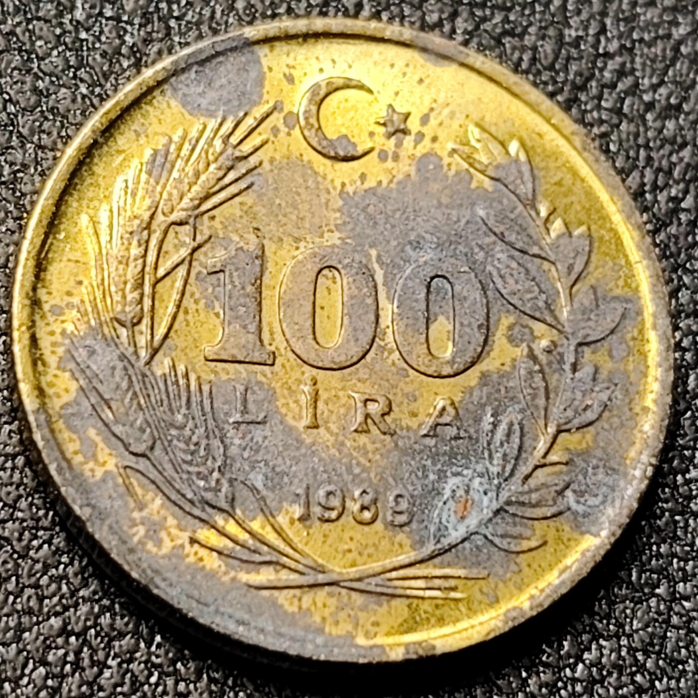 泉币菌-第145场-精品福利场 。