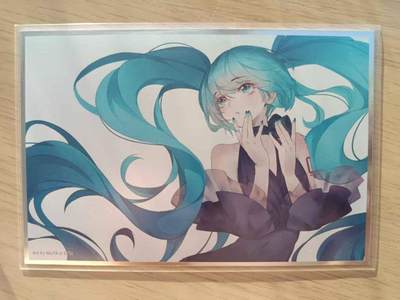 龙虎卡牌六七场 （无佣金，周六结拍，欢迎送拍） - 色纸 卡游初音未来(尺寸150X100)