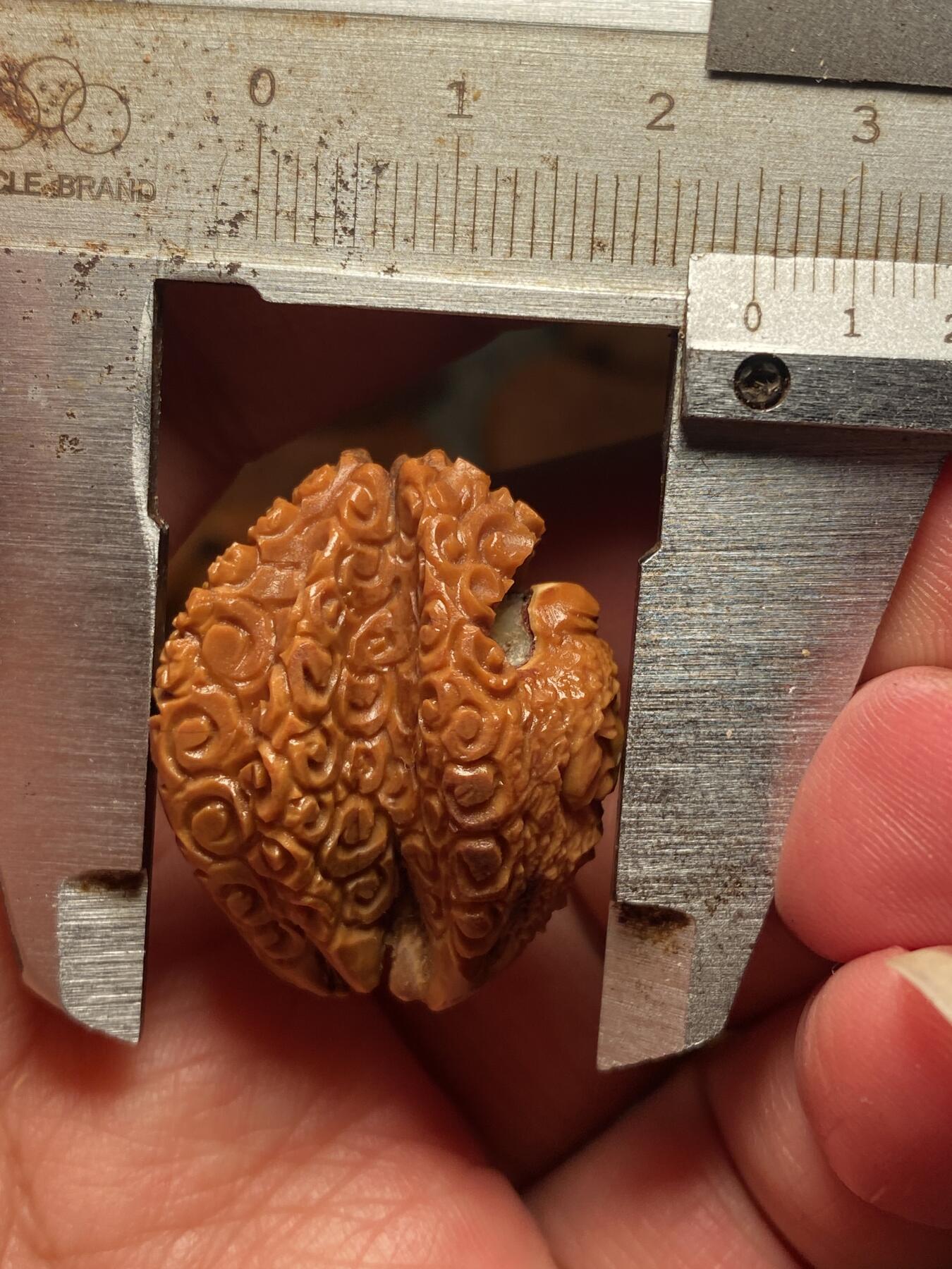 以核会友，中国非物质文化遗产苏工核雕手作