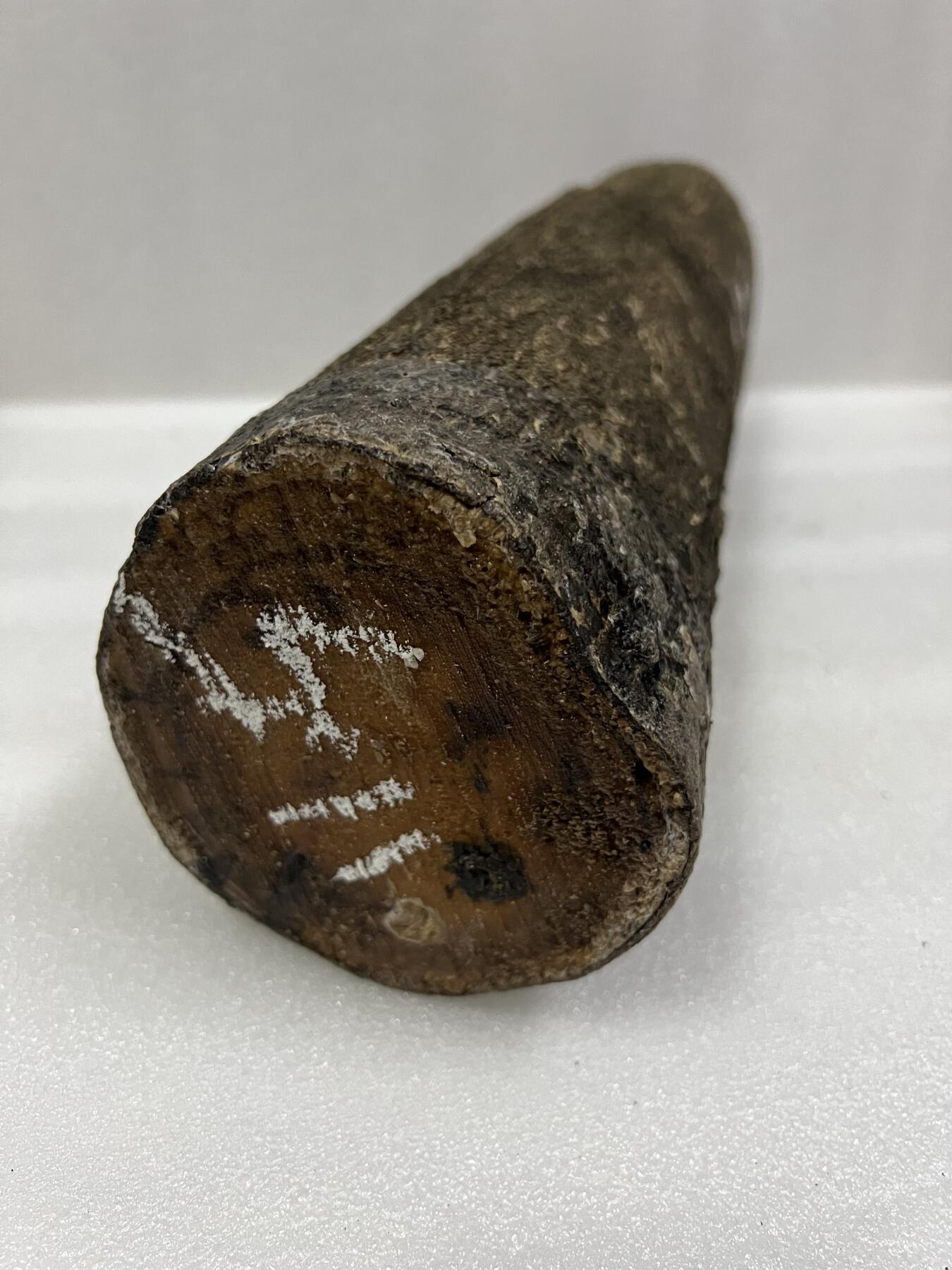 零元拍： 金丝楠 原木 发横财（材）带皮，两端封了防裂胶， 尺寸：43.5/11.5CM。六斤多重。抛光后金灿灿满香。最后一图为成品效果。