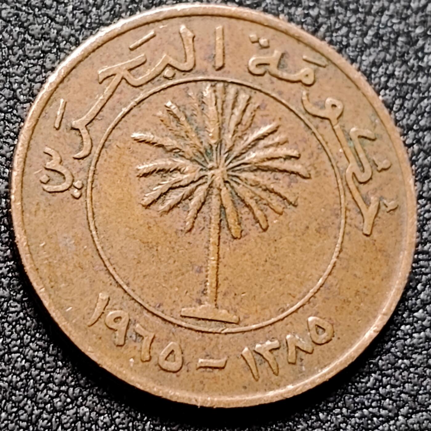 泉币菌-第145场-精品福利场 。