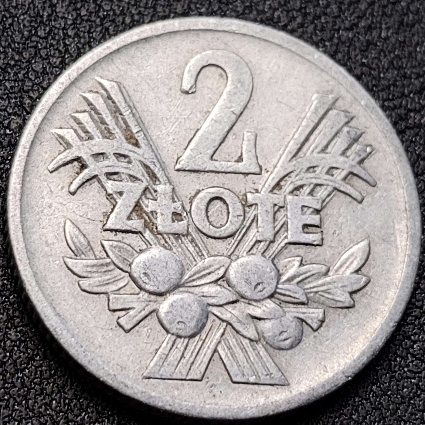 泉币菌-第146场-精品福利场 。