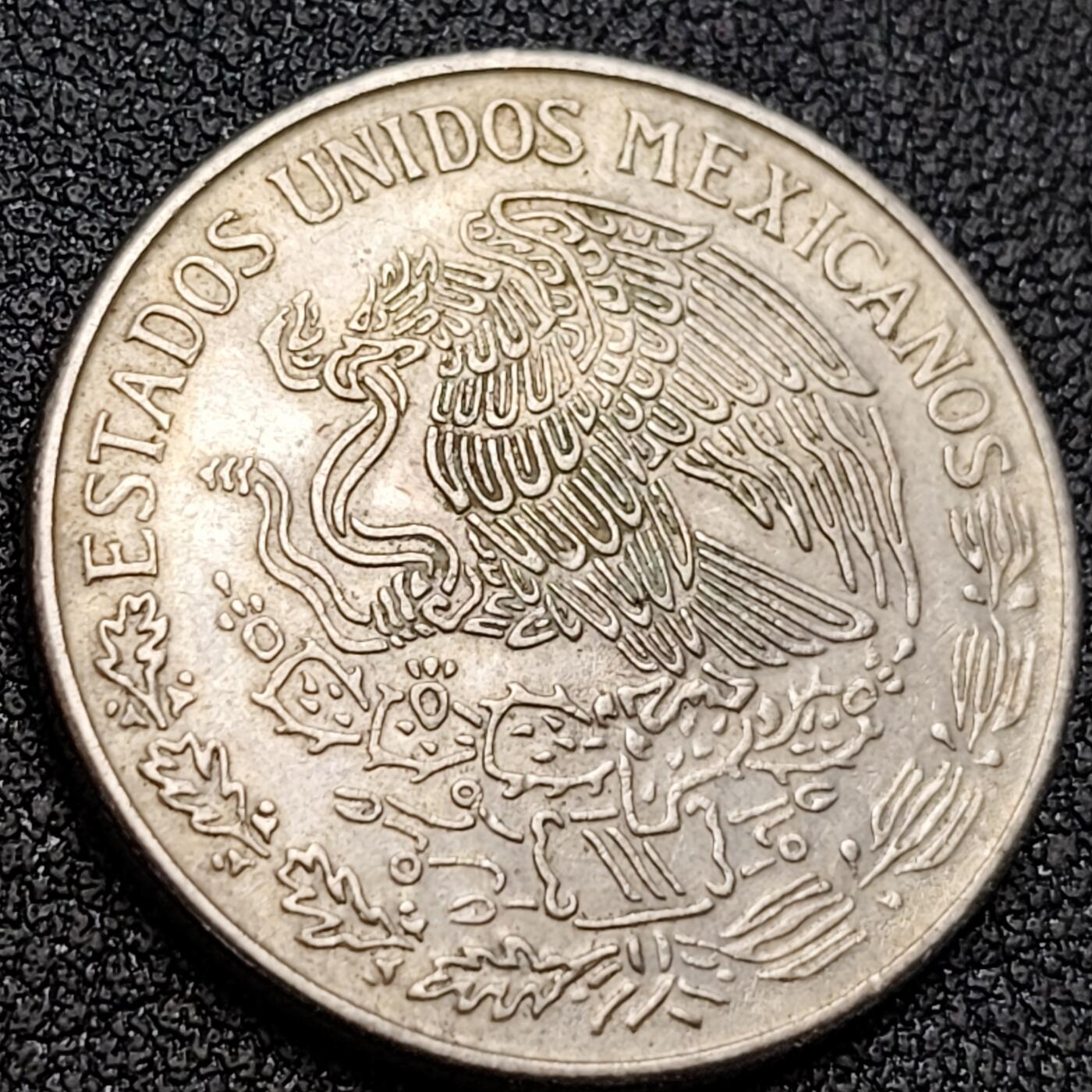 泉币菌-第146场-精品福利场 。