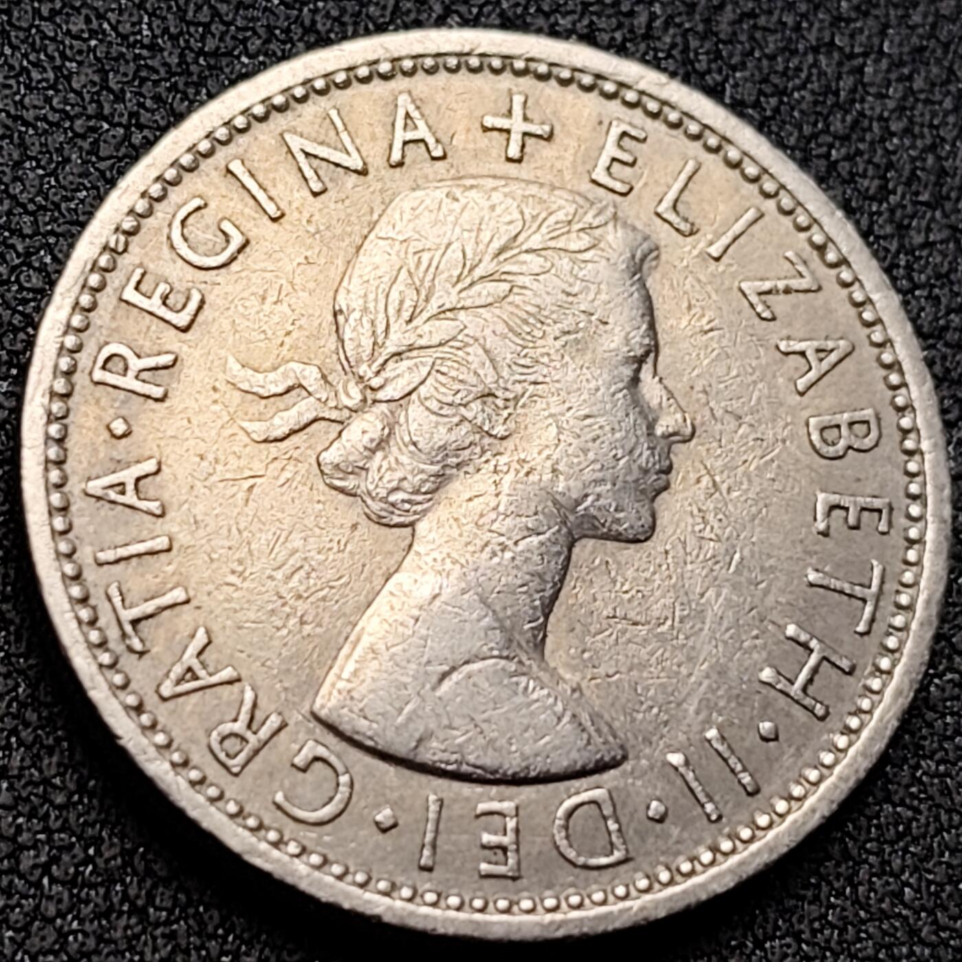 泉币菌-第146场-精品福利场 。