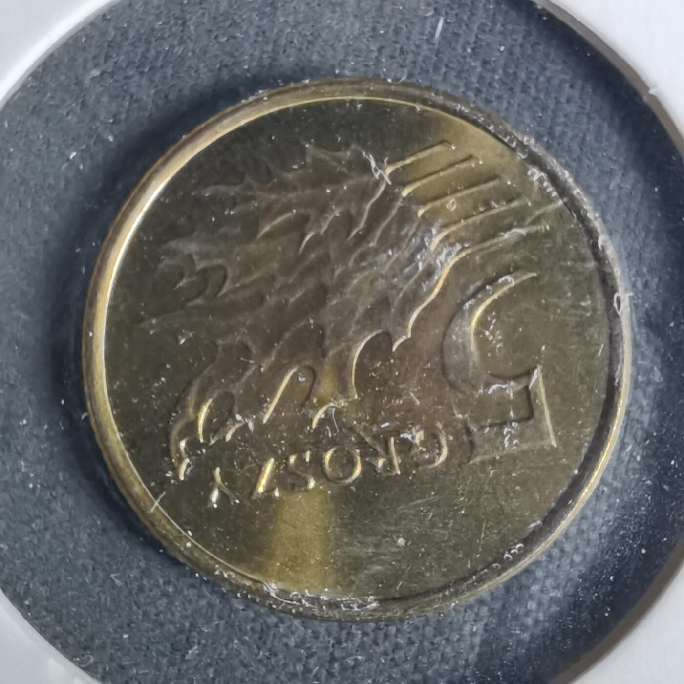 沼泽如烟--第929场 波兰2012年5格罗申