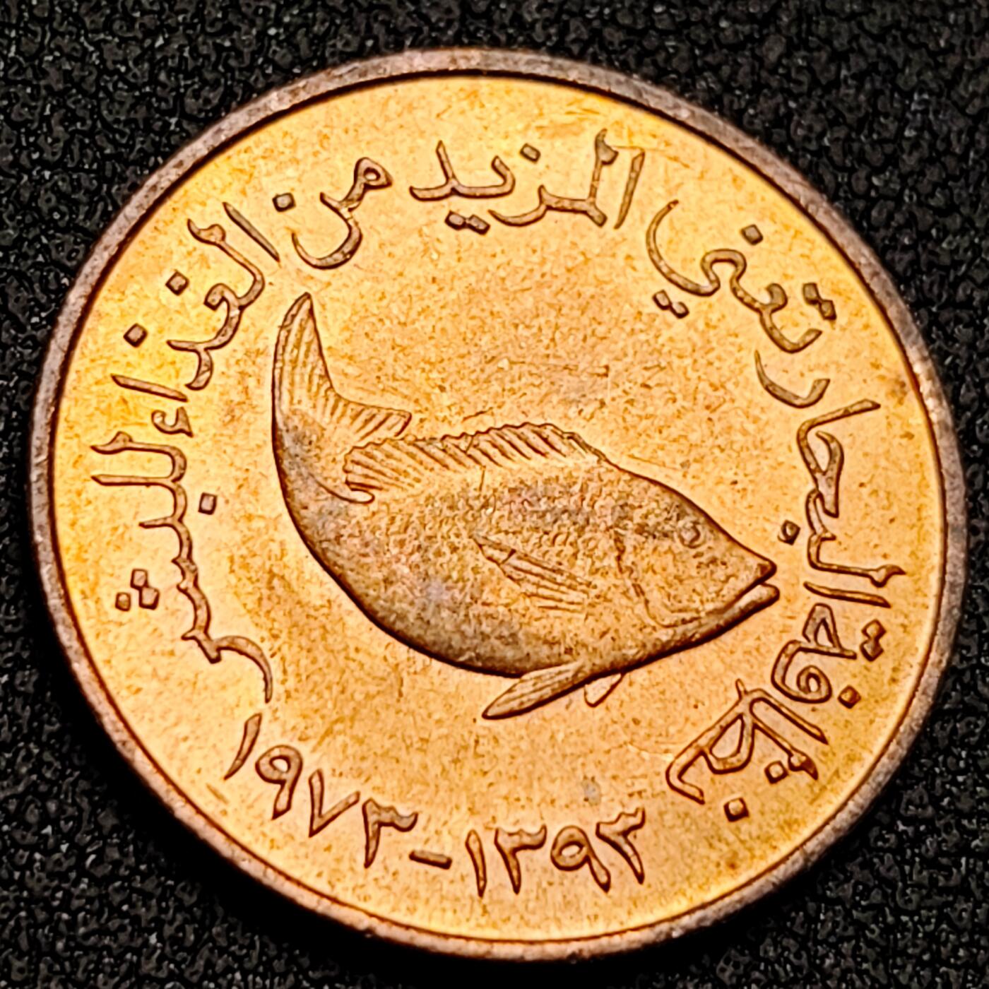 泉币菌-第145场-精品福利场 。