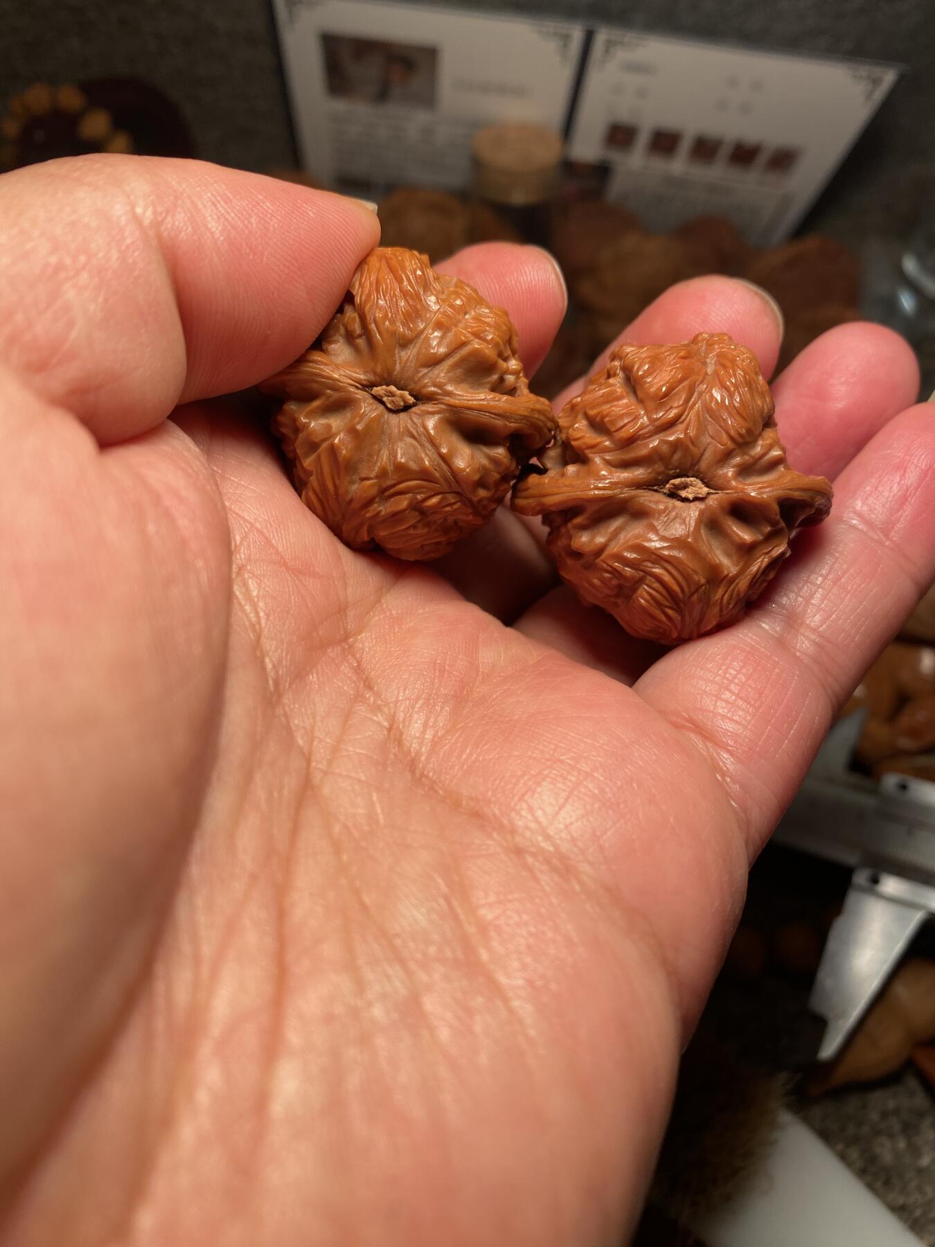 以核会友，中国非物质文化遗产苏工核雕手作