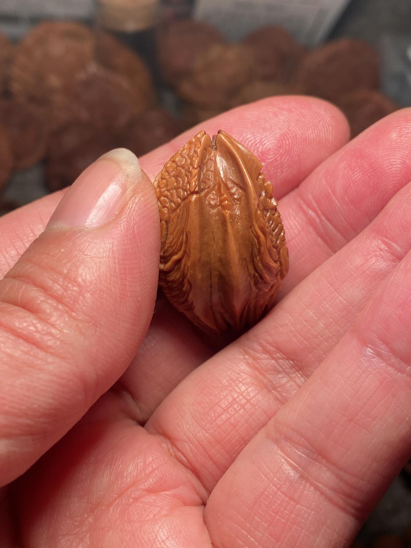 以核会友，中国非物质文化遗产苏工核雕手作