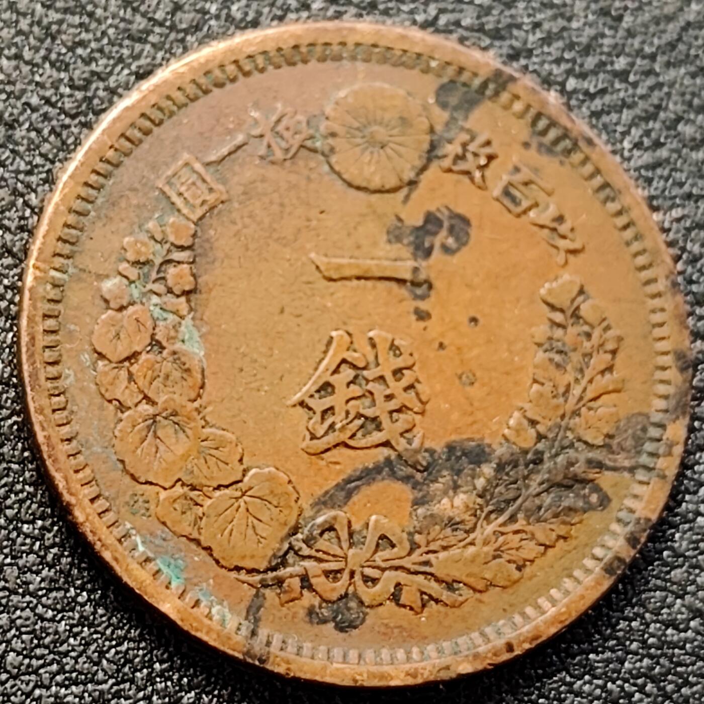 泉币菌-第146场-精品福利场