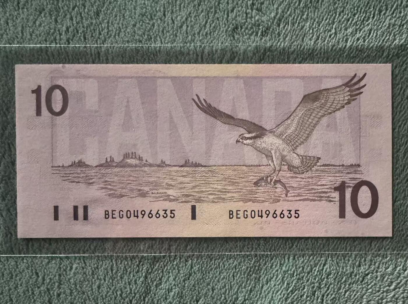 【礼羽收藏】🌏世界钱币拍卖第115期