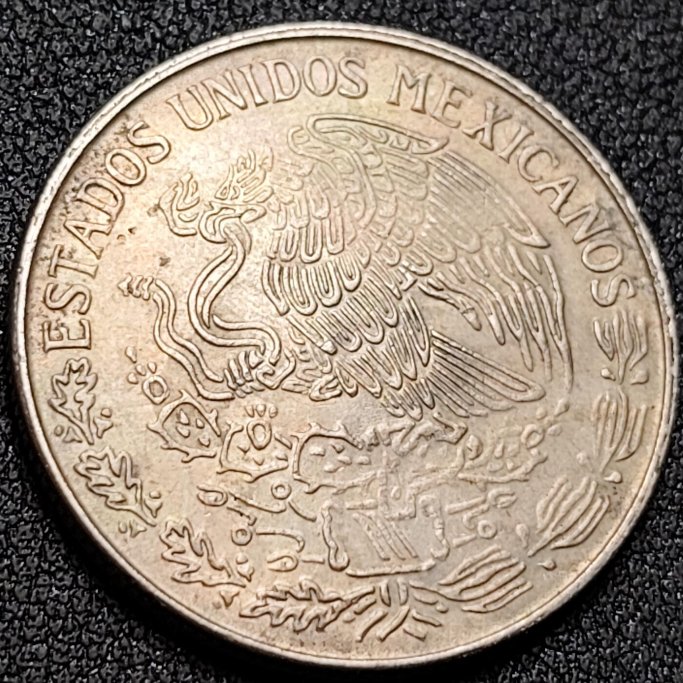 泉币菌-第145场-精品福利场 。