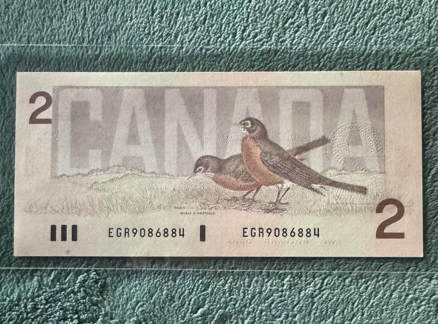 【礼羽收藏】🌏世界钱币拍卖第115期