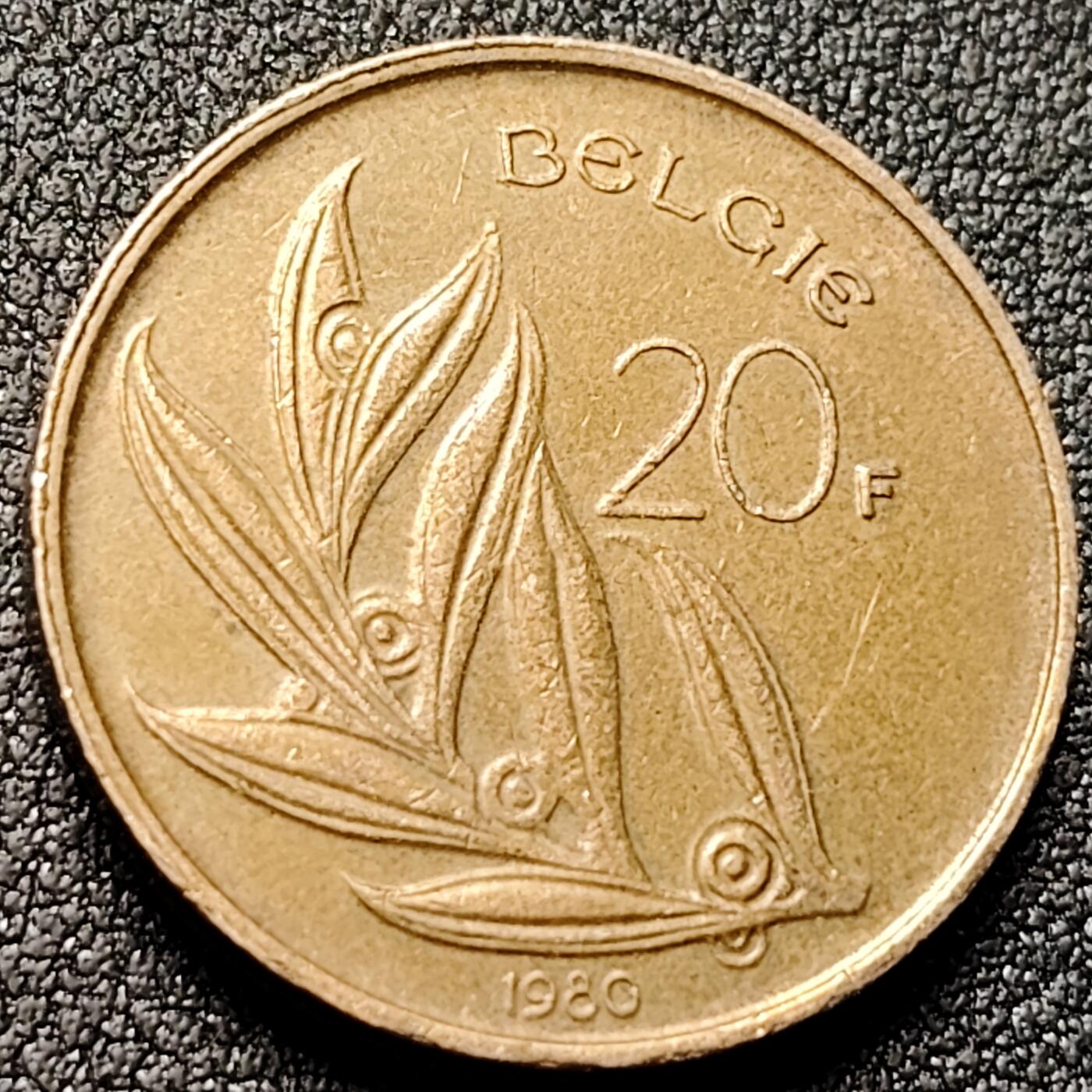 泉币菌-第145场-精品福利场 。