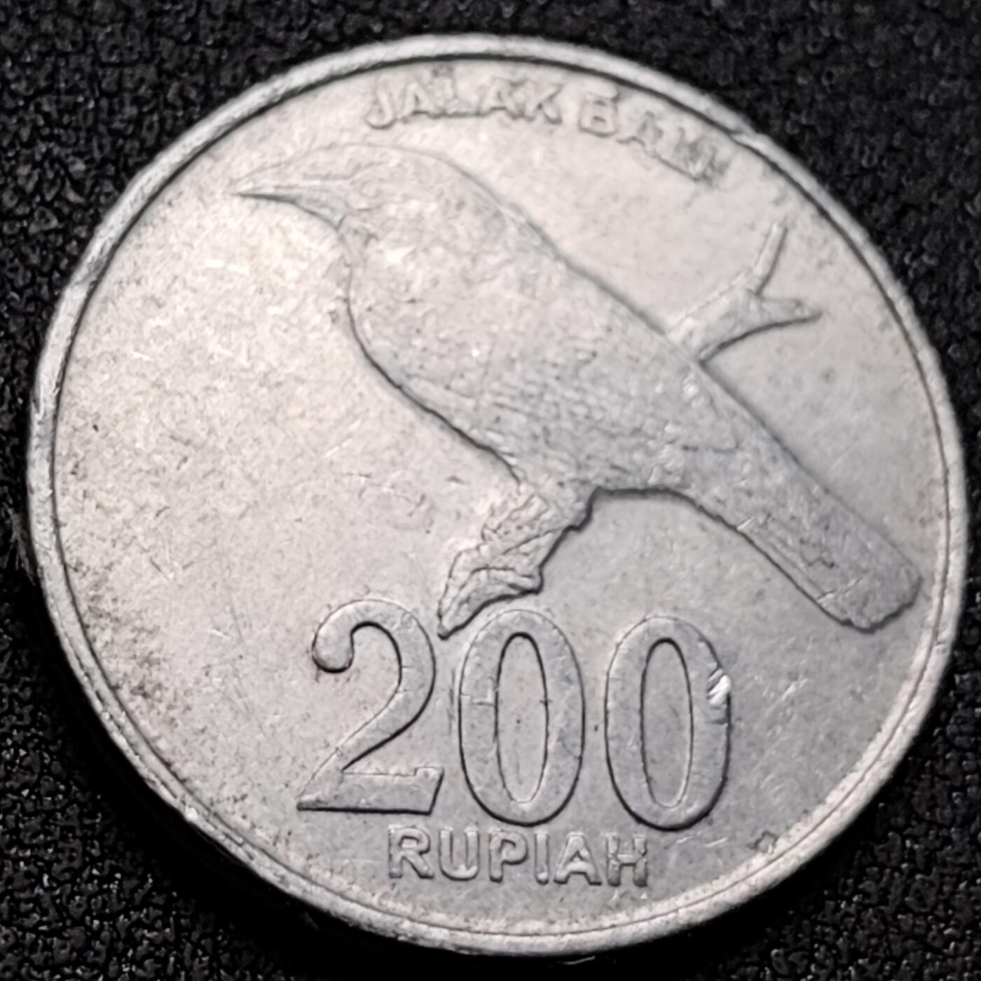 泉币菌-第145场-精品福利场 。