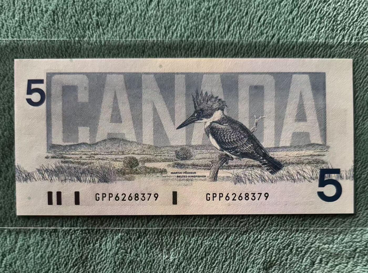 【礼羽收藏】🌏世界钱币拍卖第115期