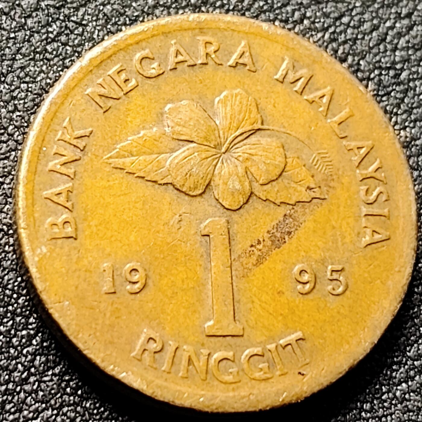 泉币菌-第145场-精品福利场 。