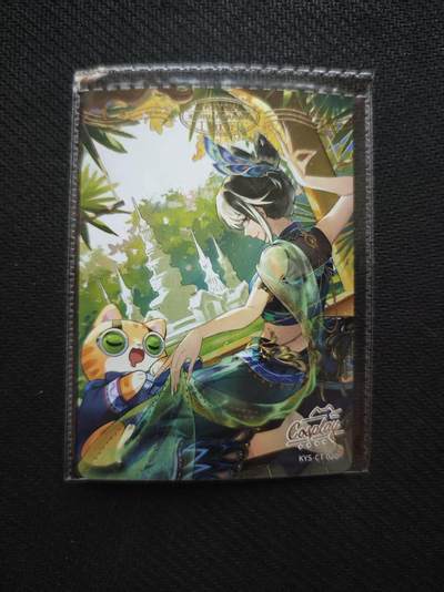 龙虎卡牌六七场 （无佣金，周六结拍，欢迎送拍） - 卡游卡兜 环游世界