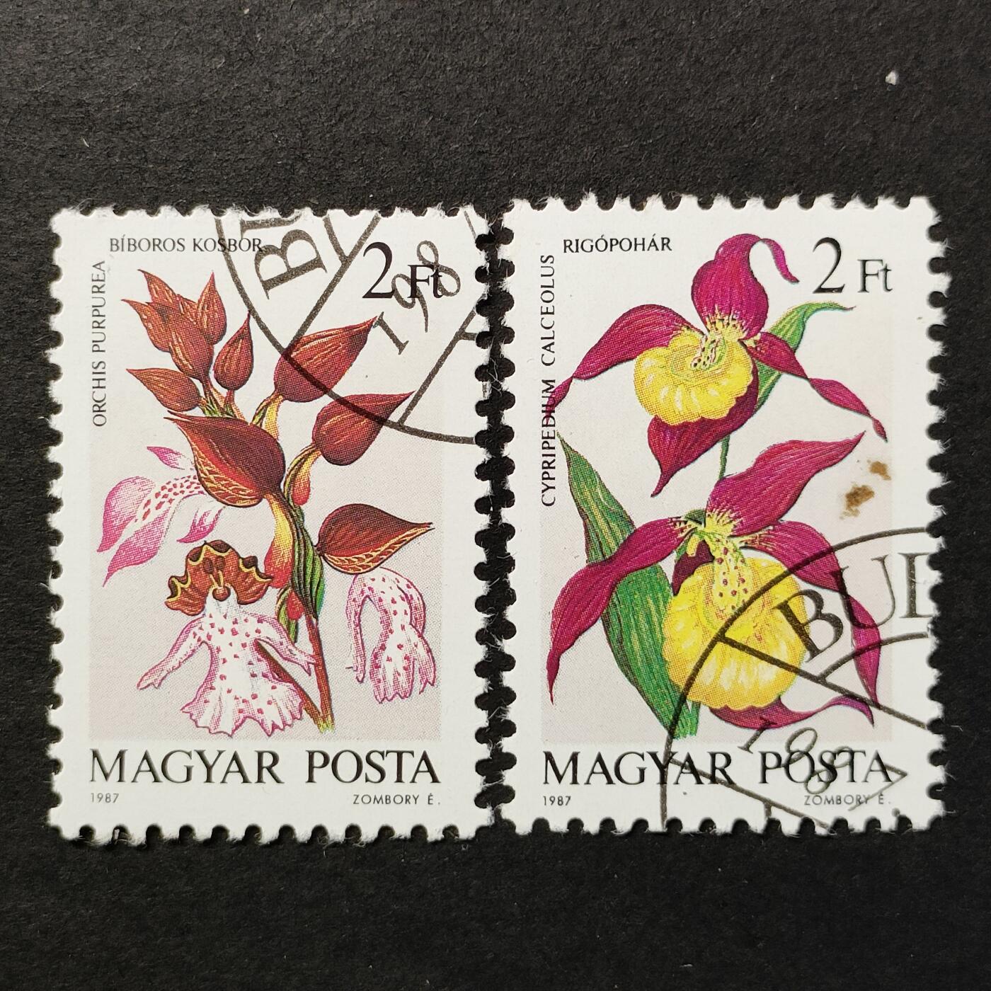 ↓君缘收藏677期☞钱币邮品↓无佣金、可寄存、满30元包邮  匈牙利邮票，1987年兰花邮票