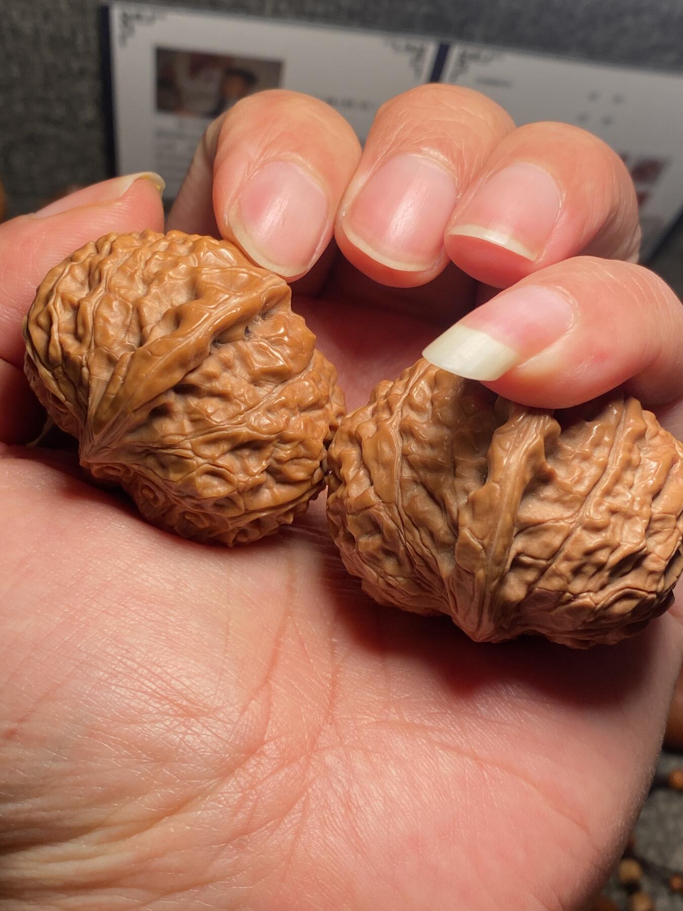 以核会友，中国非物质文化遗产苏工核雕手作