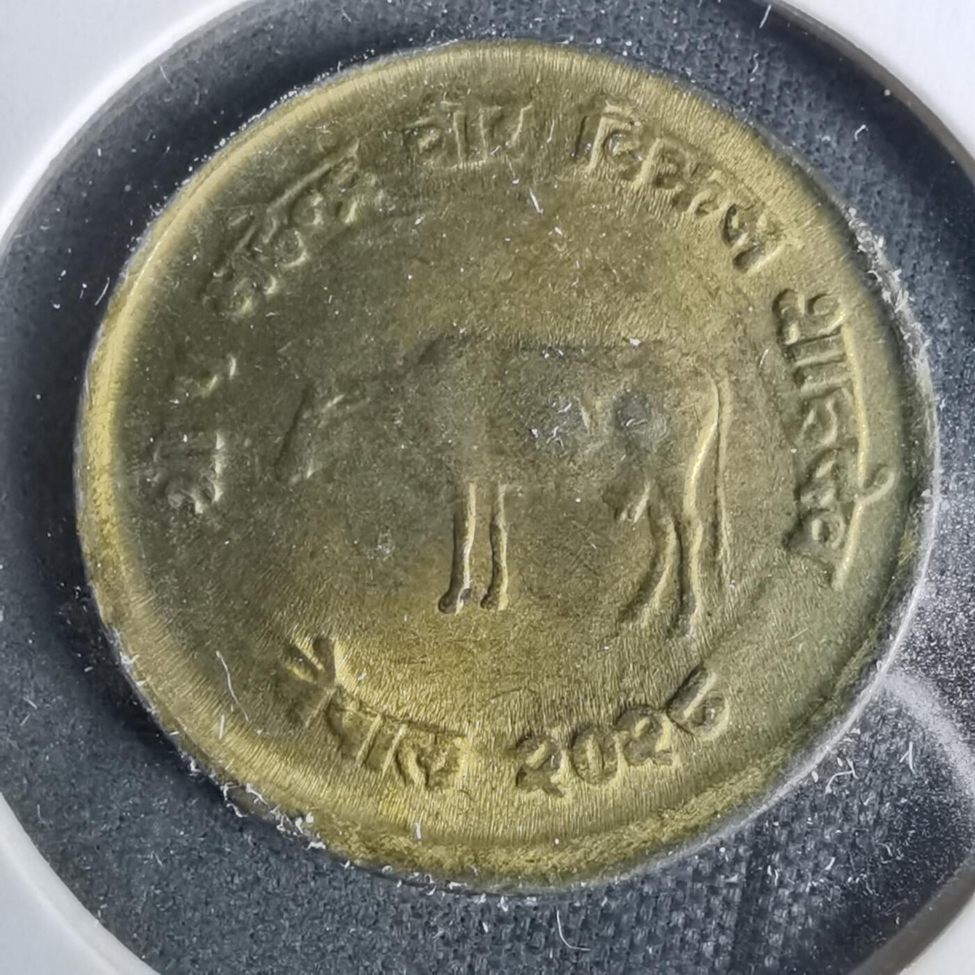 沼泽如烟--第929场 尼泊尔