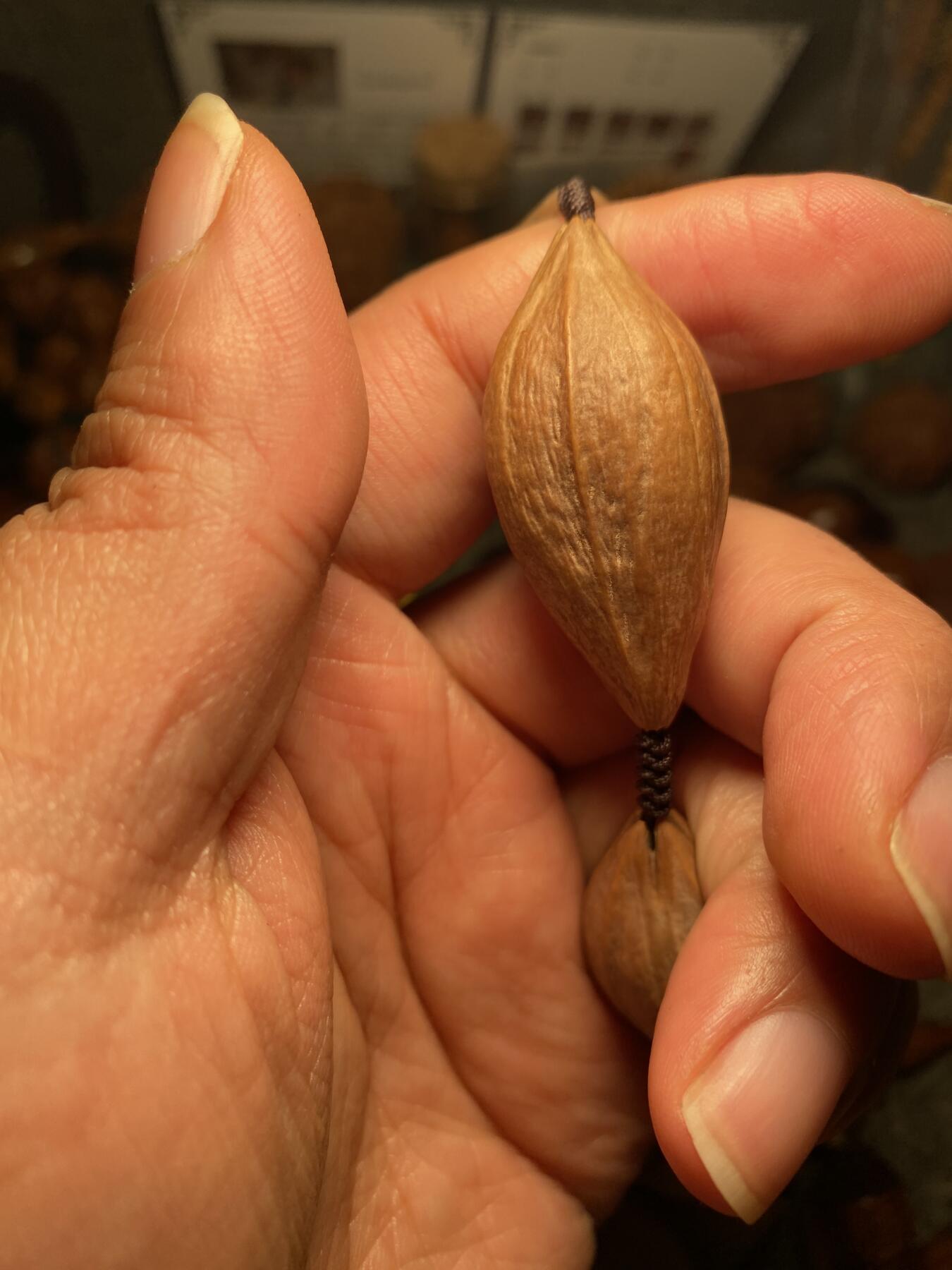 以核会友，中国非物质文化遗产苏工核雕手作 福利苏工核雕，纯手天然，四花梅林大核原皮大脖挂，个性十足，等待有缘人，与众不同，尺寸2。0x4.7喜欢的来