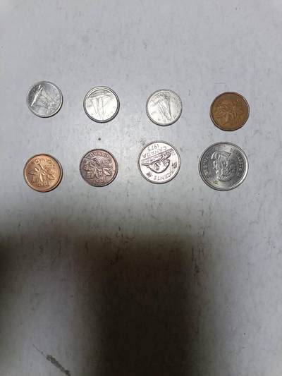 【20251213】非全新纸币和硬币第313场 - 加拿大8枚硬币不同版本