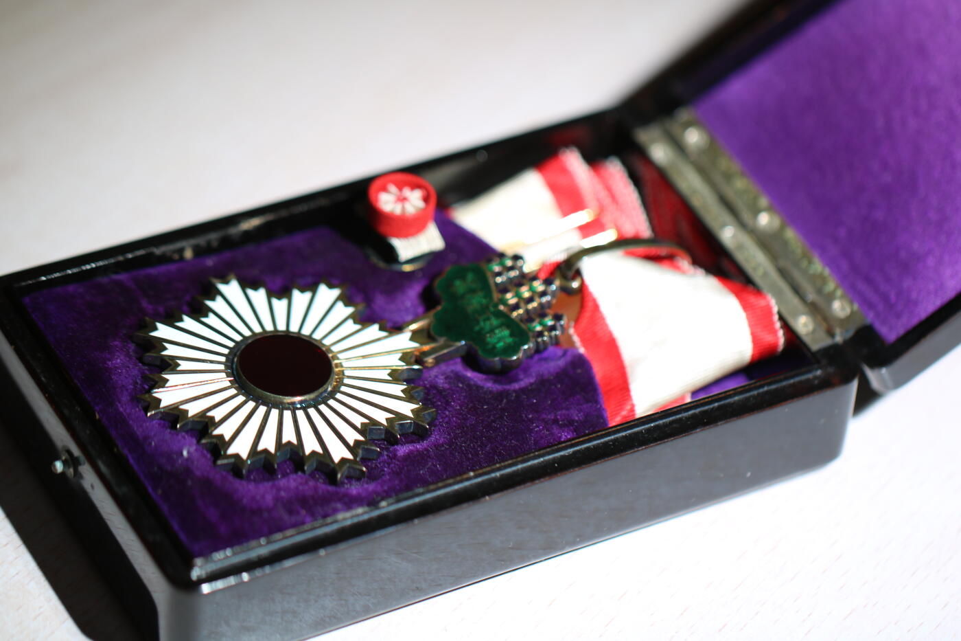 大猫徽章拍卖 第284期 勿忘国耻 三旭 全品