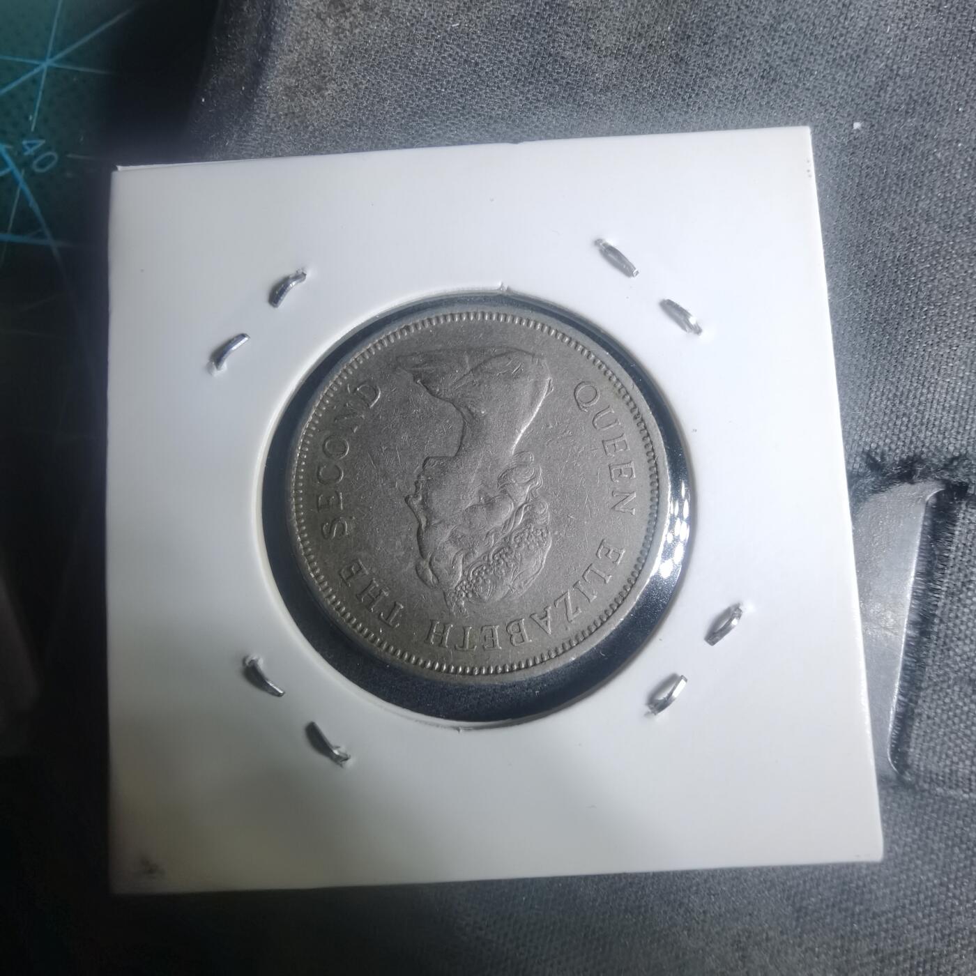 沼泽如烟--第930场