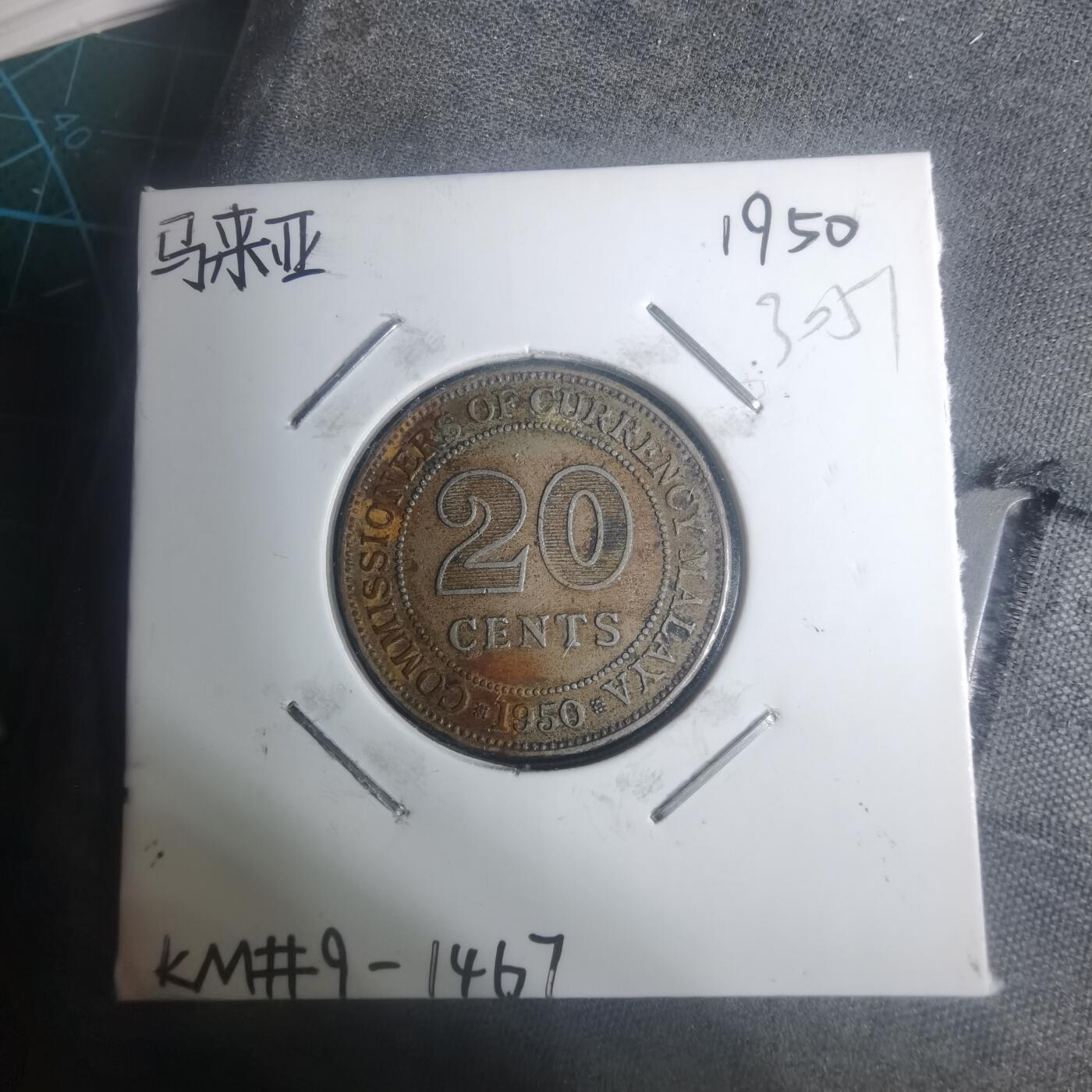 沼泽如烟--第930场