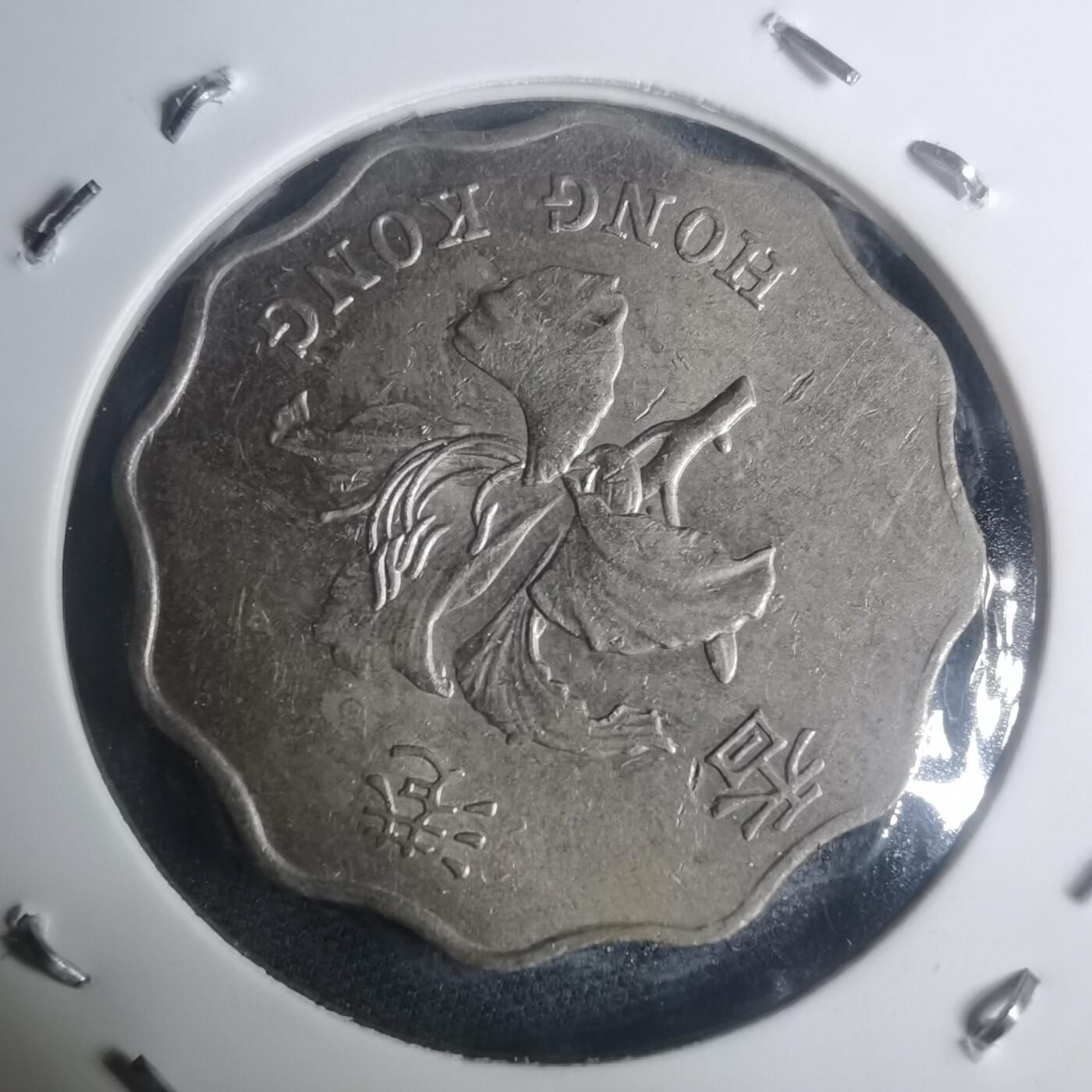 沼泽如烟--第930场