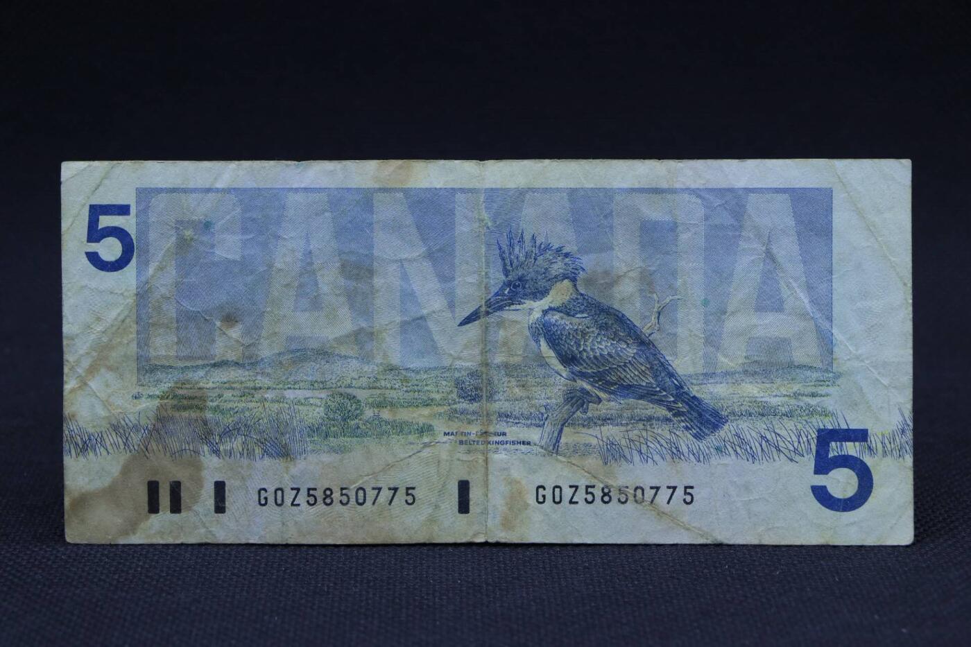 【淘币小摊】限时拍第八百二十八拍  纸币场  满百包邮可预留两周  周一统一发货 