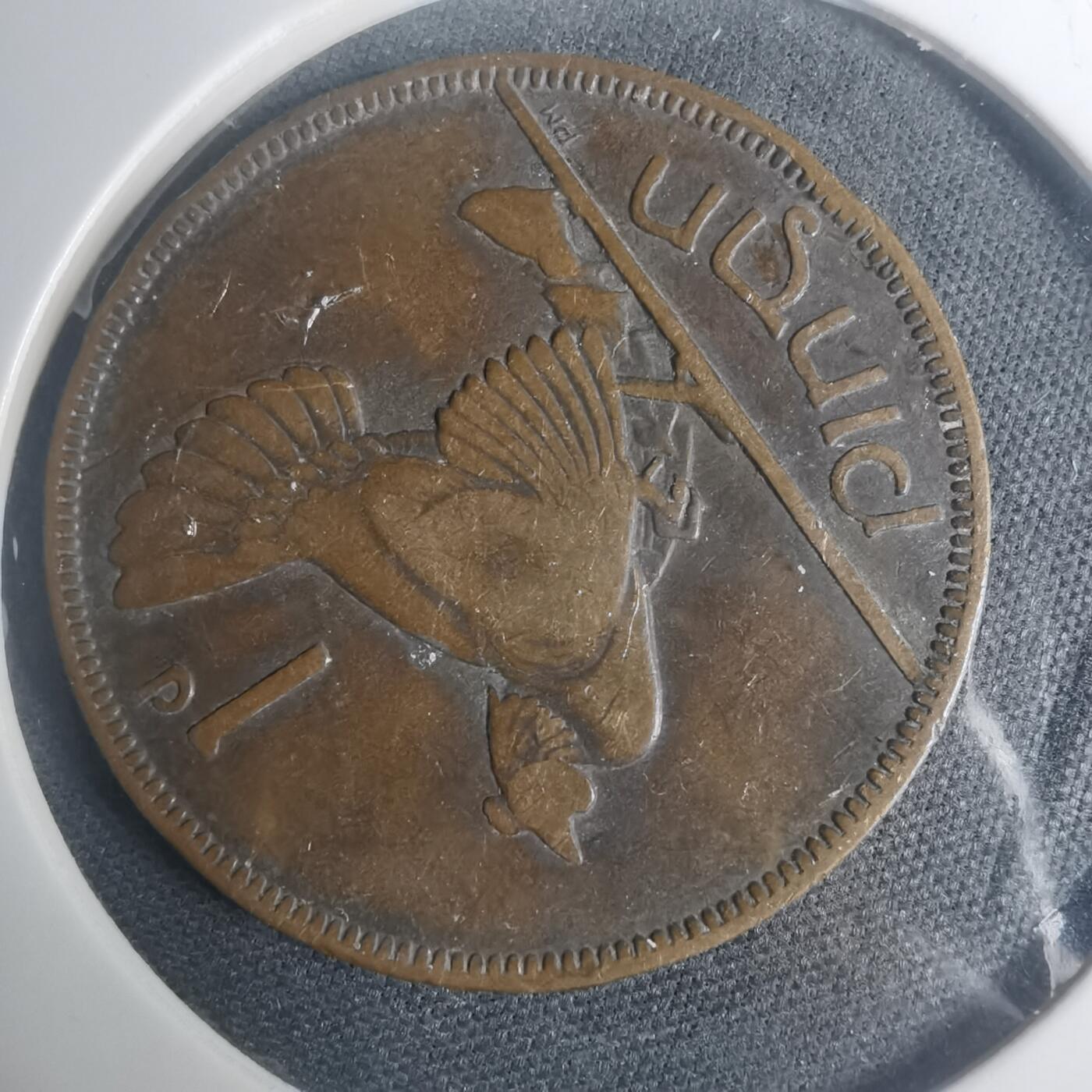 沼泽如烟--第930场