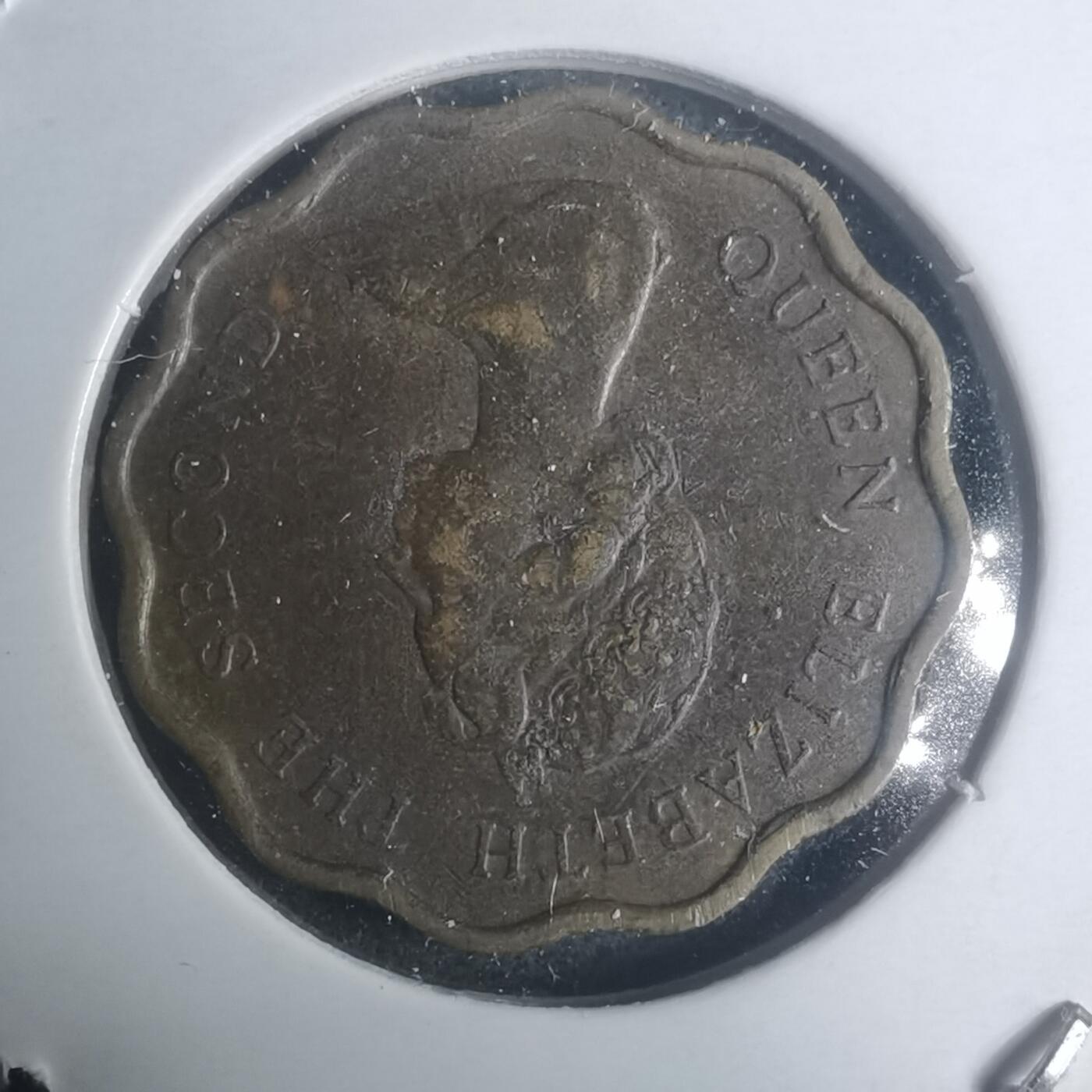 沼泽如烟--第930场