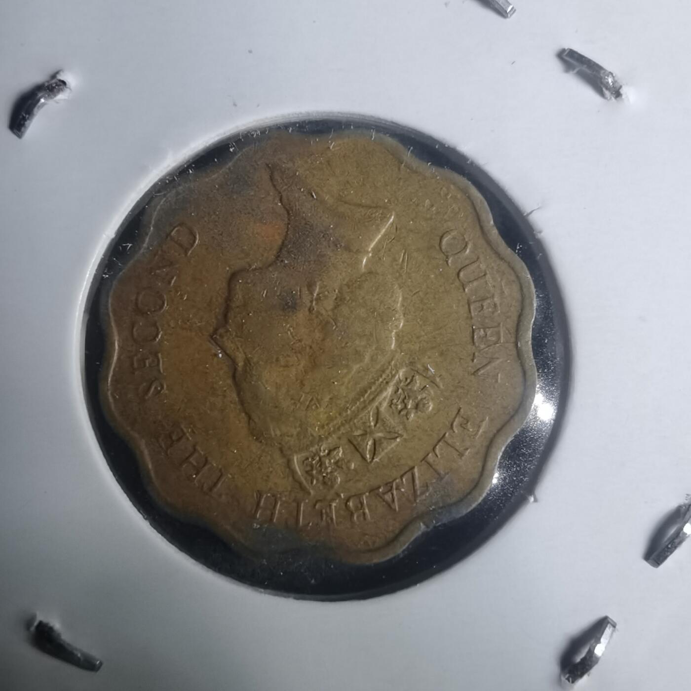 沼泽如烟--第930场