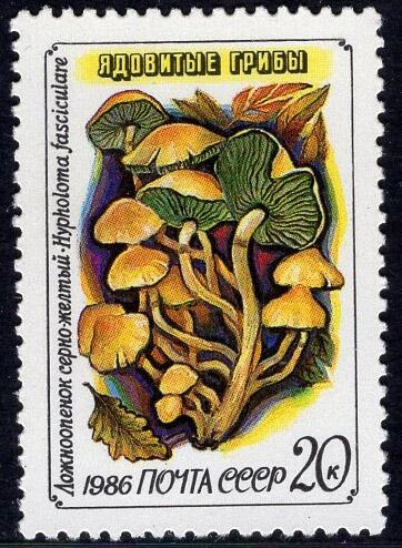 洪涛臻品批发群 精选邮票限时拍卖第1195期  苏联 林地毒蘑菇-独生黄韧伞，最高面值 1枚新全品