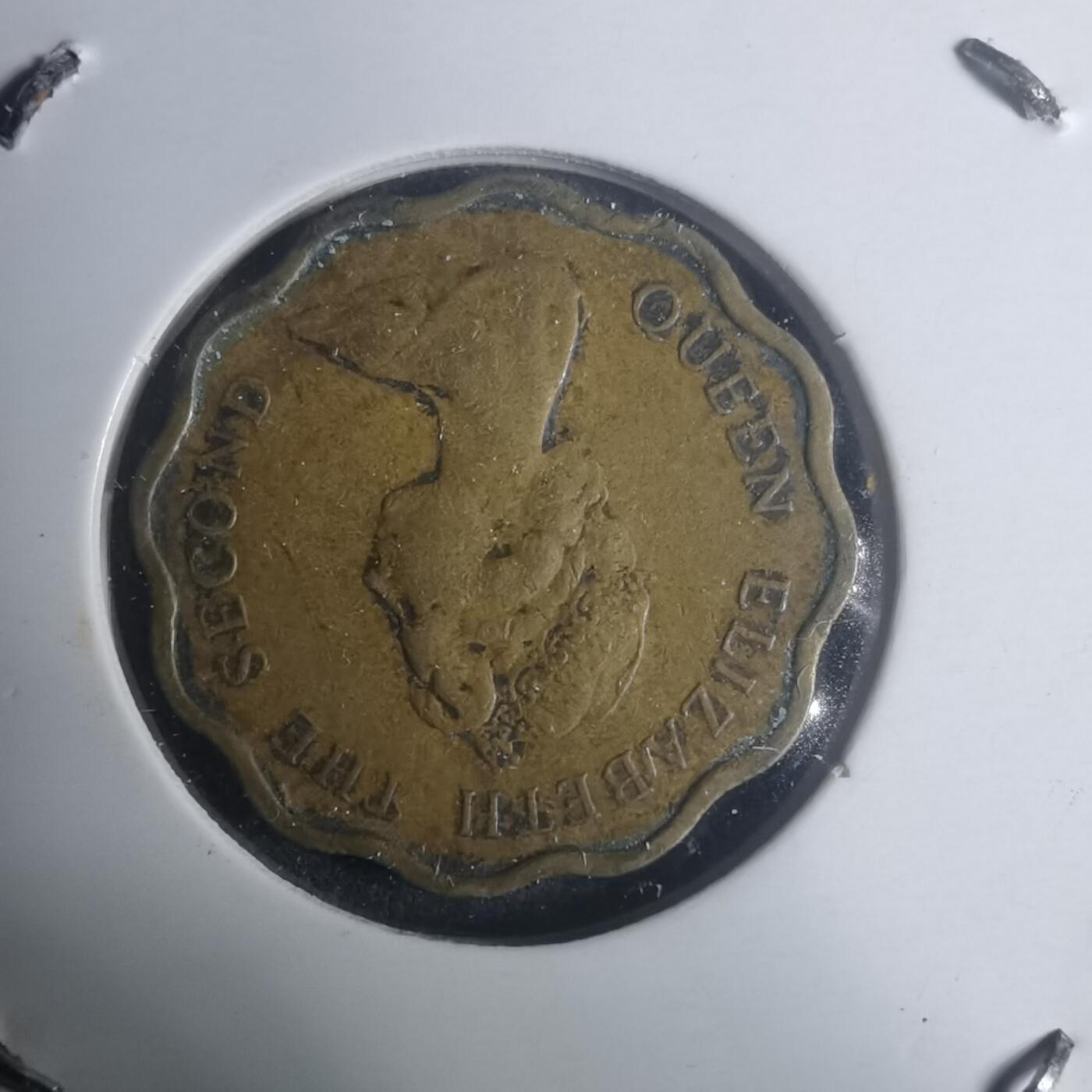 沼泽如烟--第930场