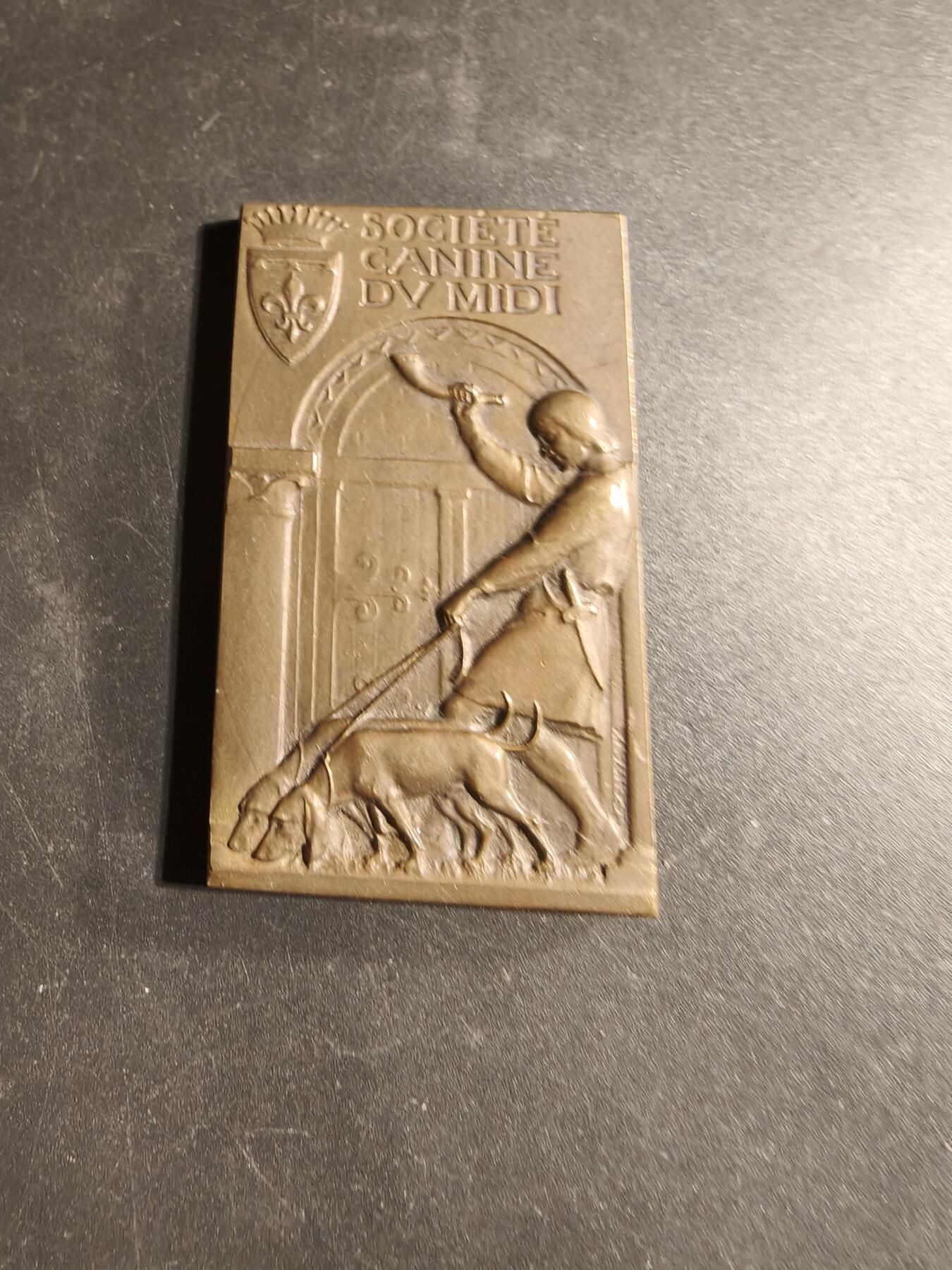 老王徽章第169期 法国中部地区宠物犬博览会一等奖方形大铜章    尺寸36×60mm.    重量62.6g