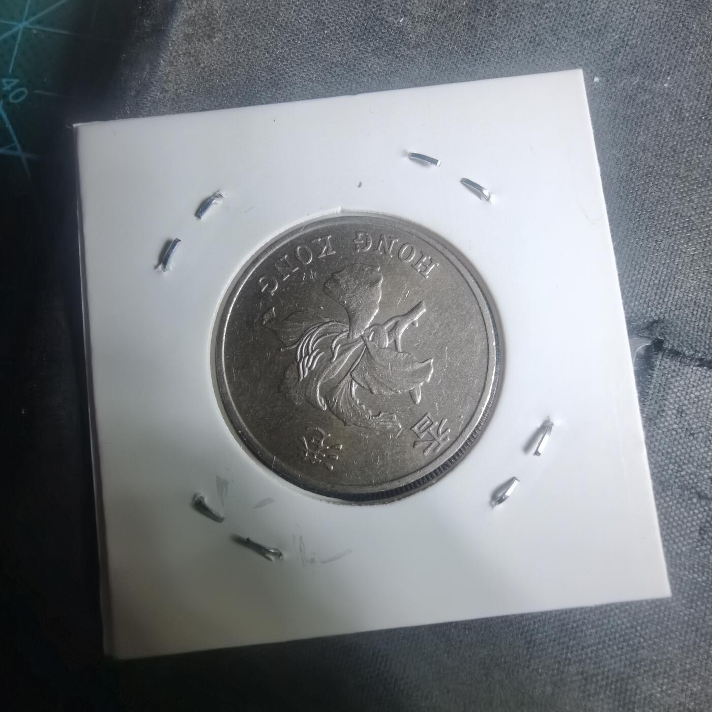 沼泽如烟--第930场