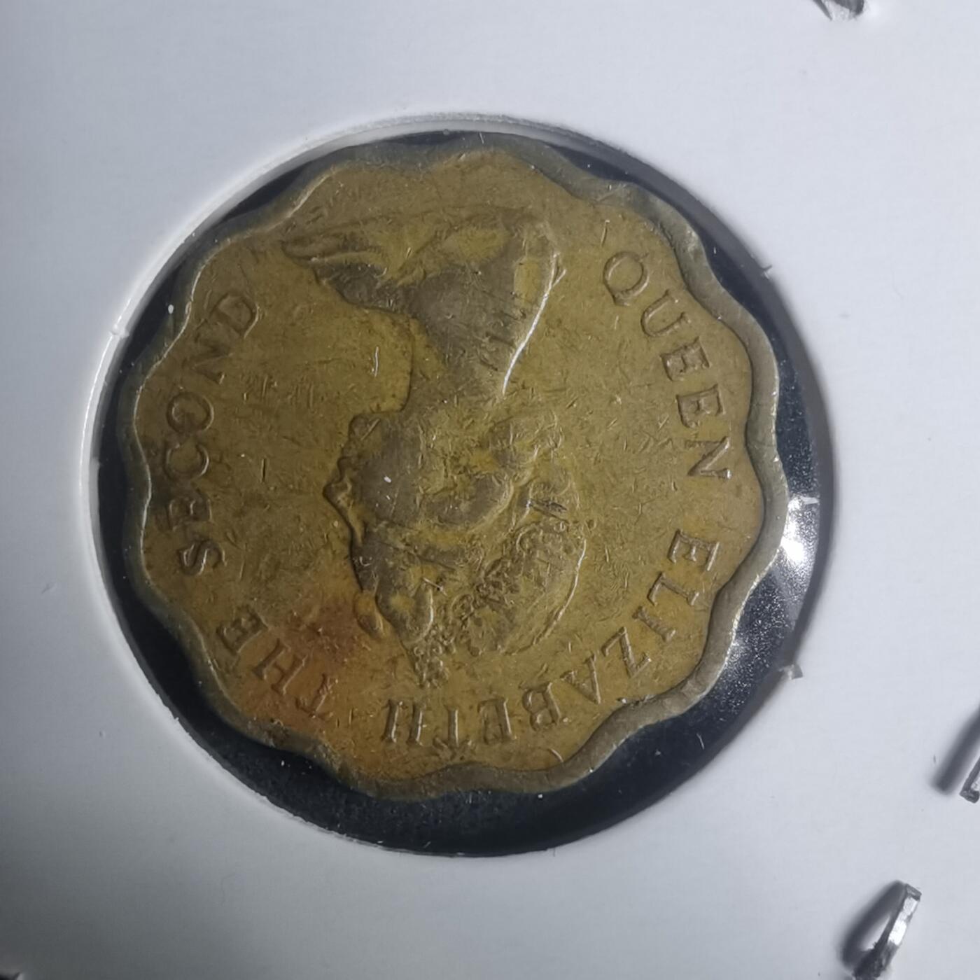 沼泽如烟--第930场