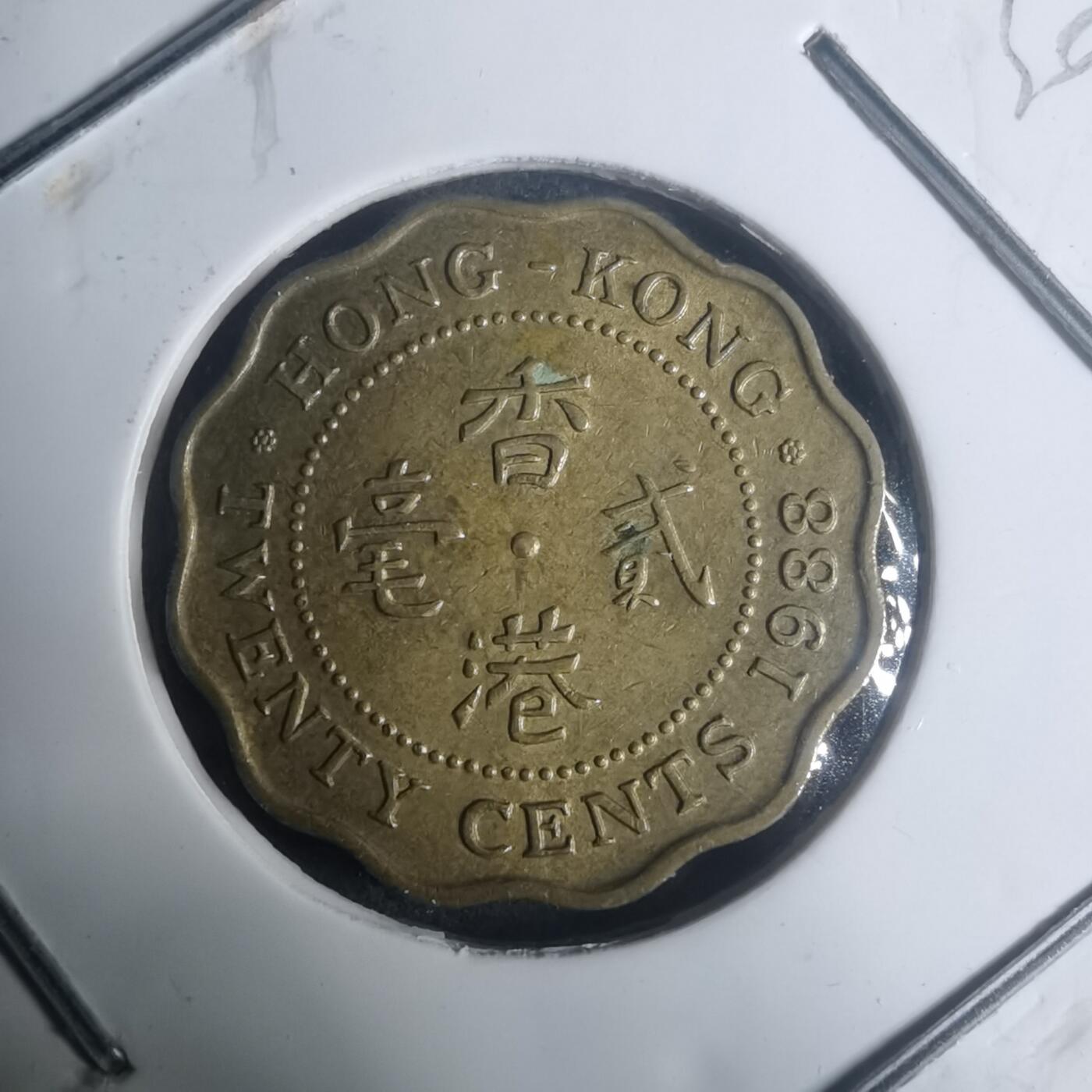 沼泽如烟--第930场