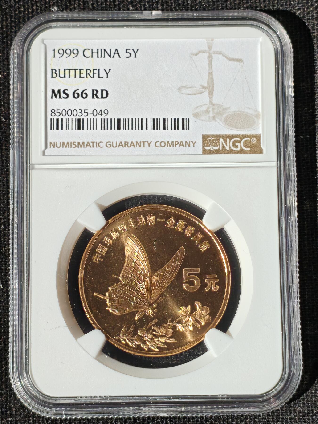 刘世昌艺术品销售中心～虎踞龙蟠*金杨在线联拍群第511期