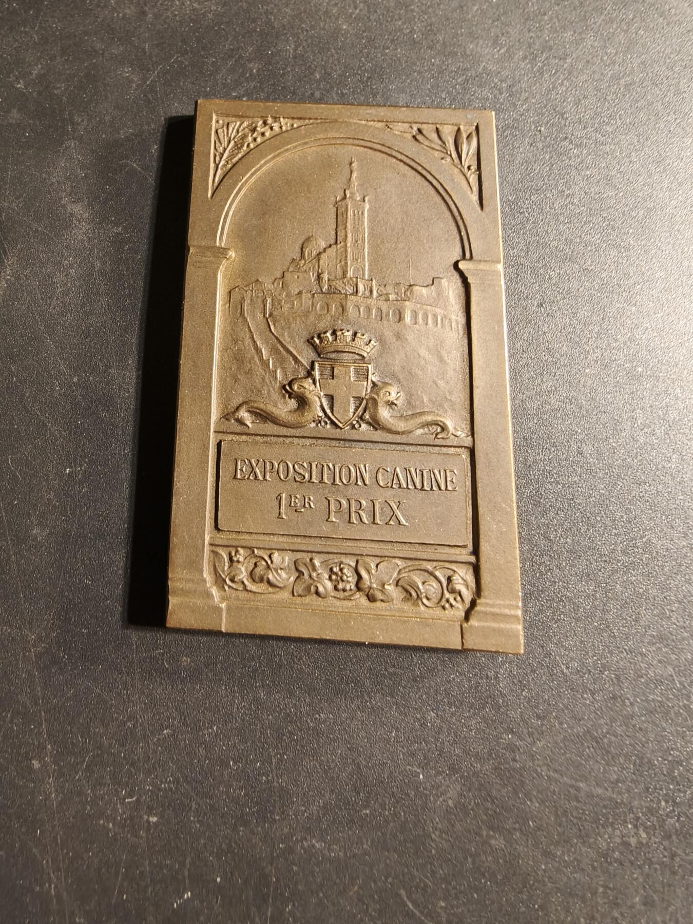 老王徽章第169期 法国中部地区宠物犬博览会一等奖方形大铜章    尺寸36×60mm.    重量62.6g