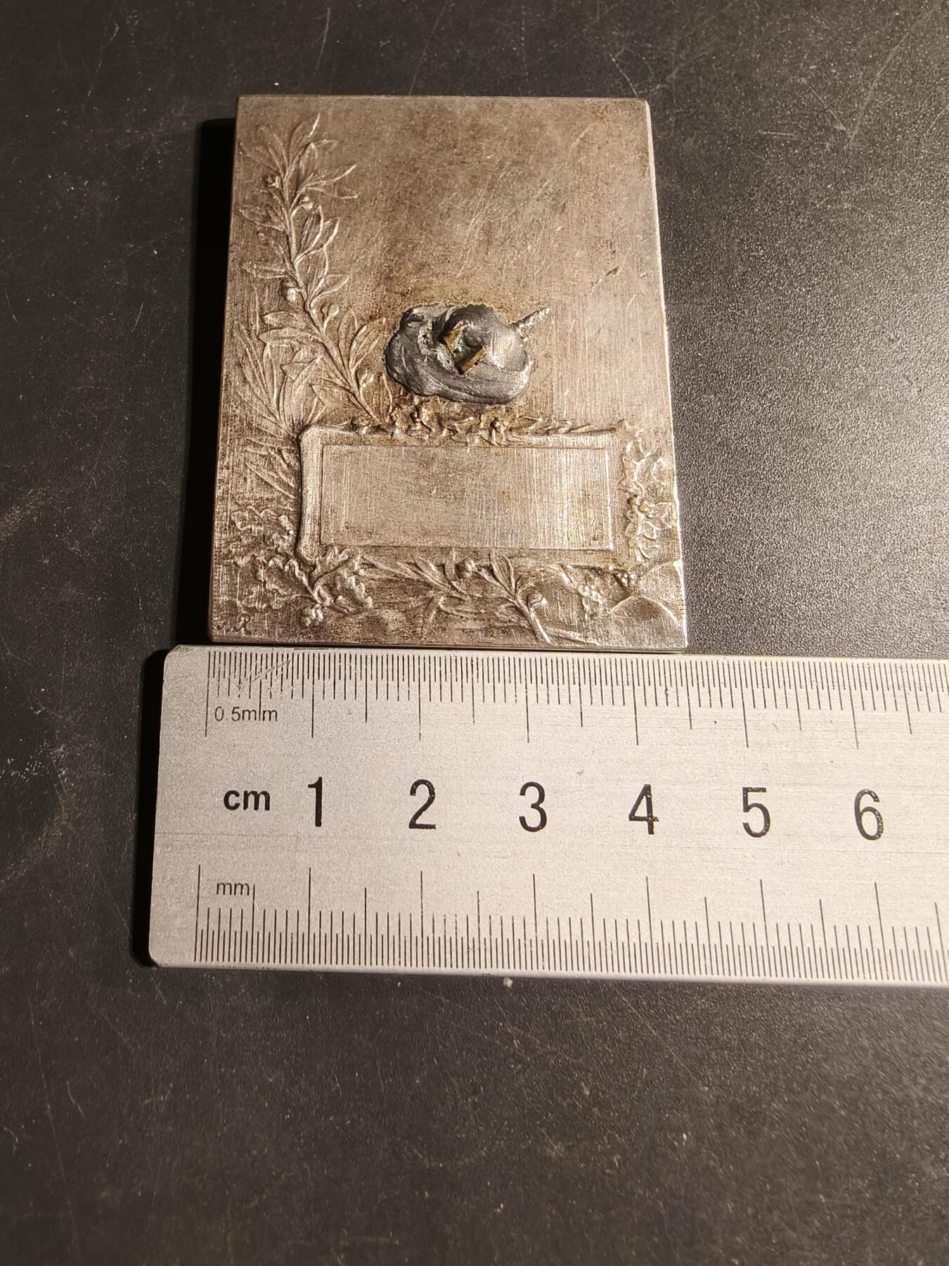 老王徽章第169期 法国宠物犬博览会方形镀银大铜章     尺寸45×60mm.    重量72.4g