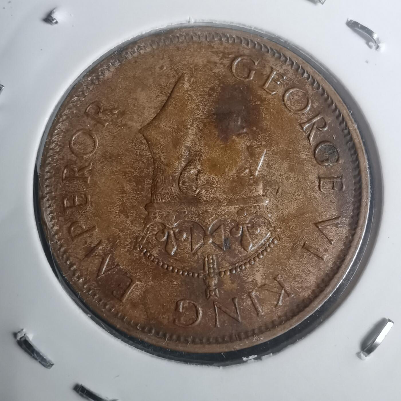 沼泽如烟--第930场