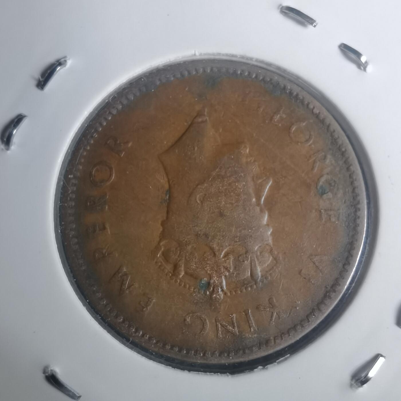 沼泽如烟--第930场