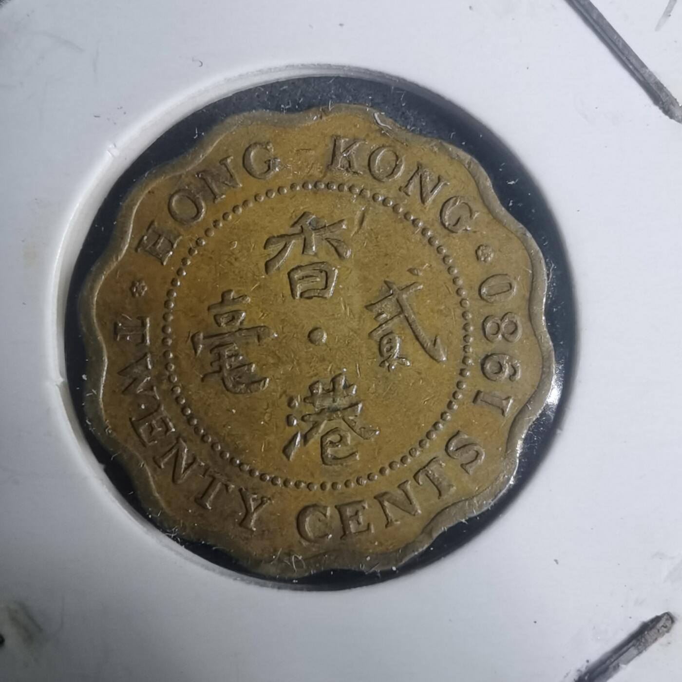 沼泽如烟--第930场