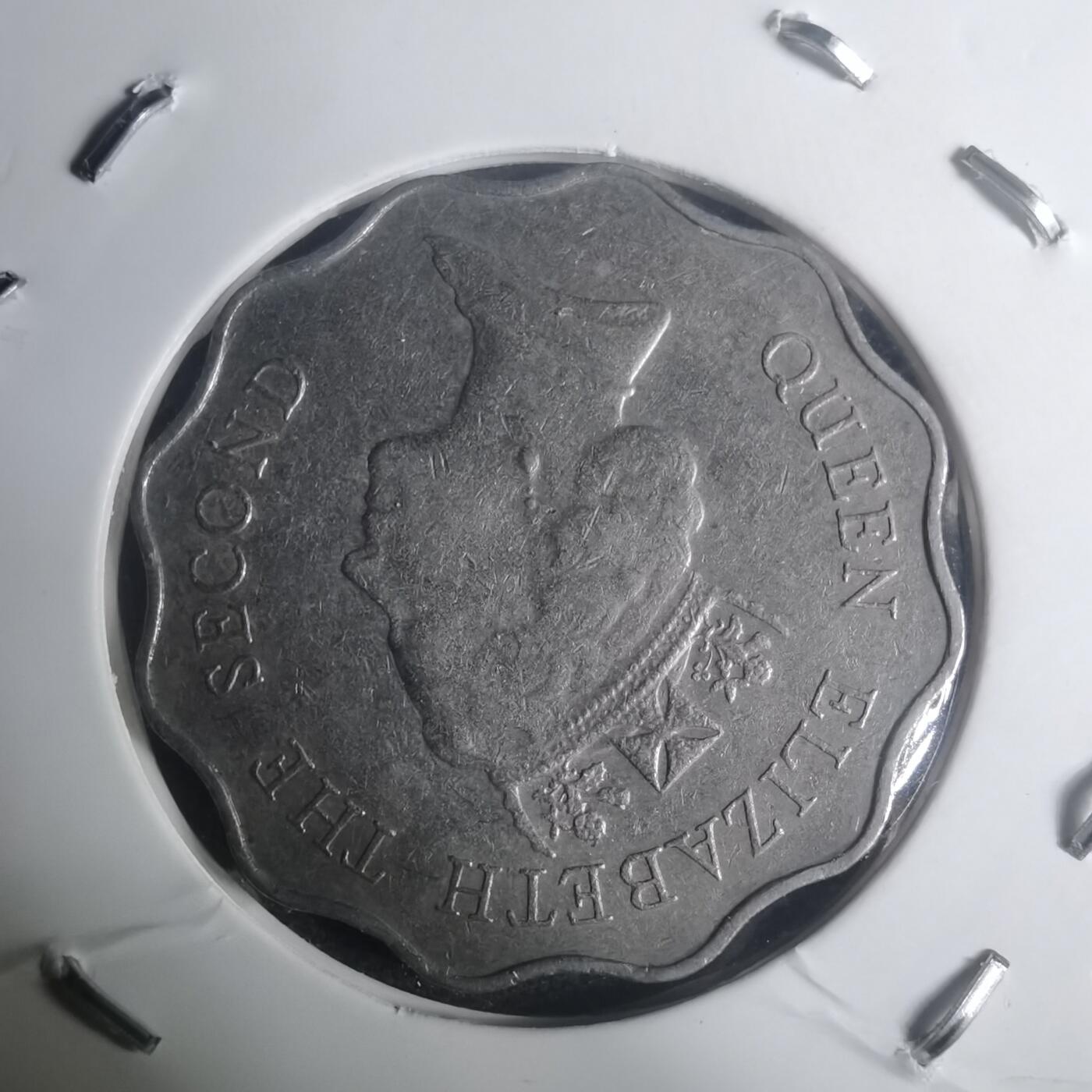 沼泽如烟--第930场