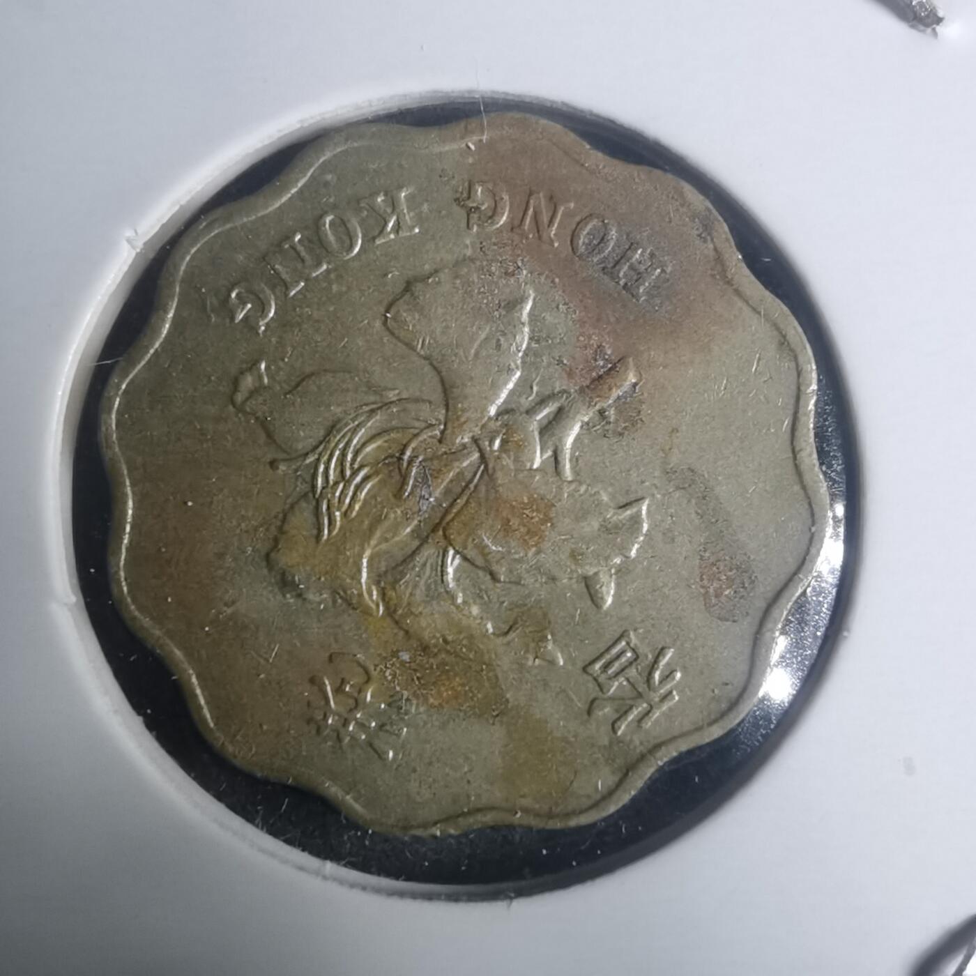 沼泽如烟--第930场