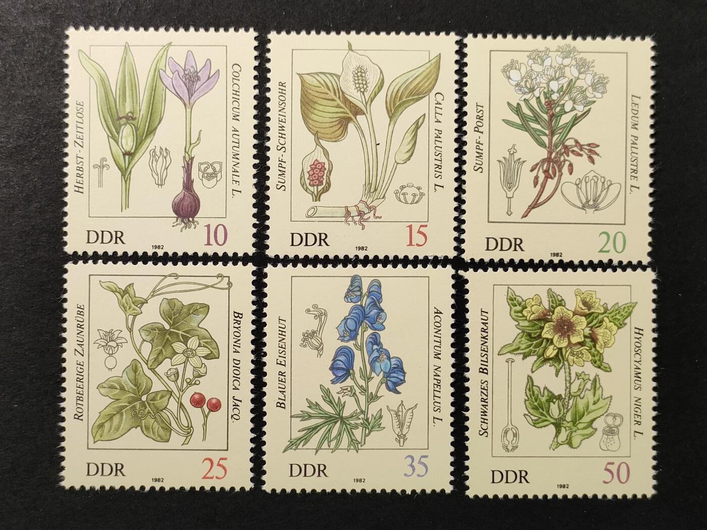 ↓君缘收藏678期☞钱币邮品↓无佣金、可寄存、满30元包邮  德国邮票东德，1982年药用植物 花卉邮票6全