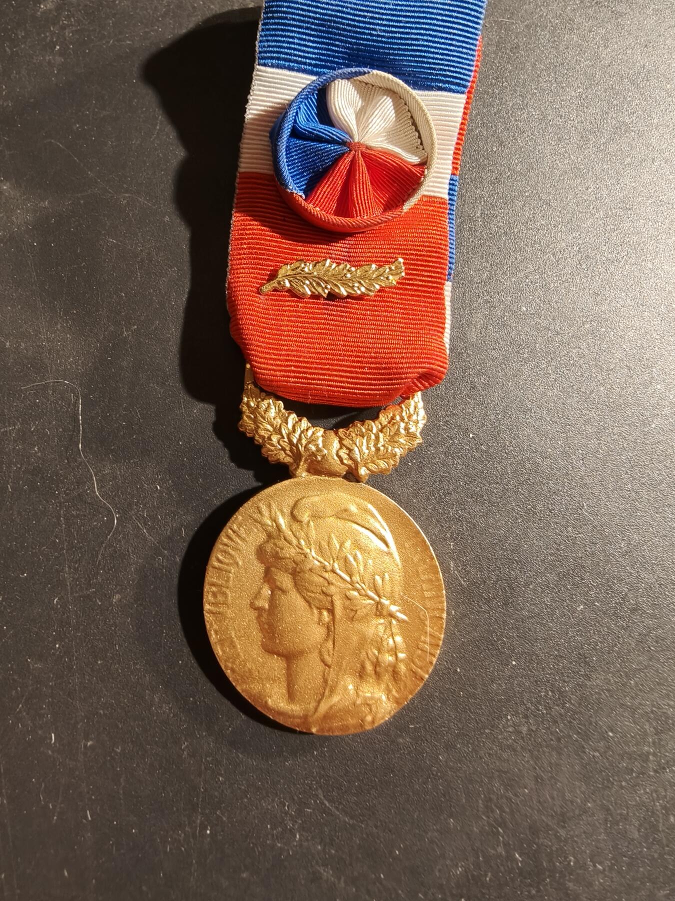 老王徽章第169期 法国金级劳动荣誉奖章     金棕榈勋饰    实发版